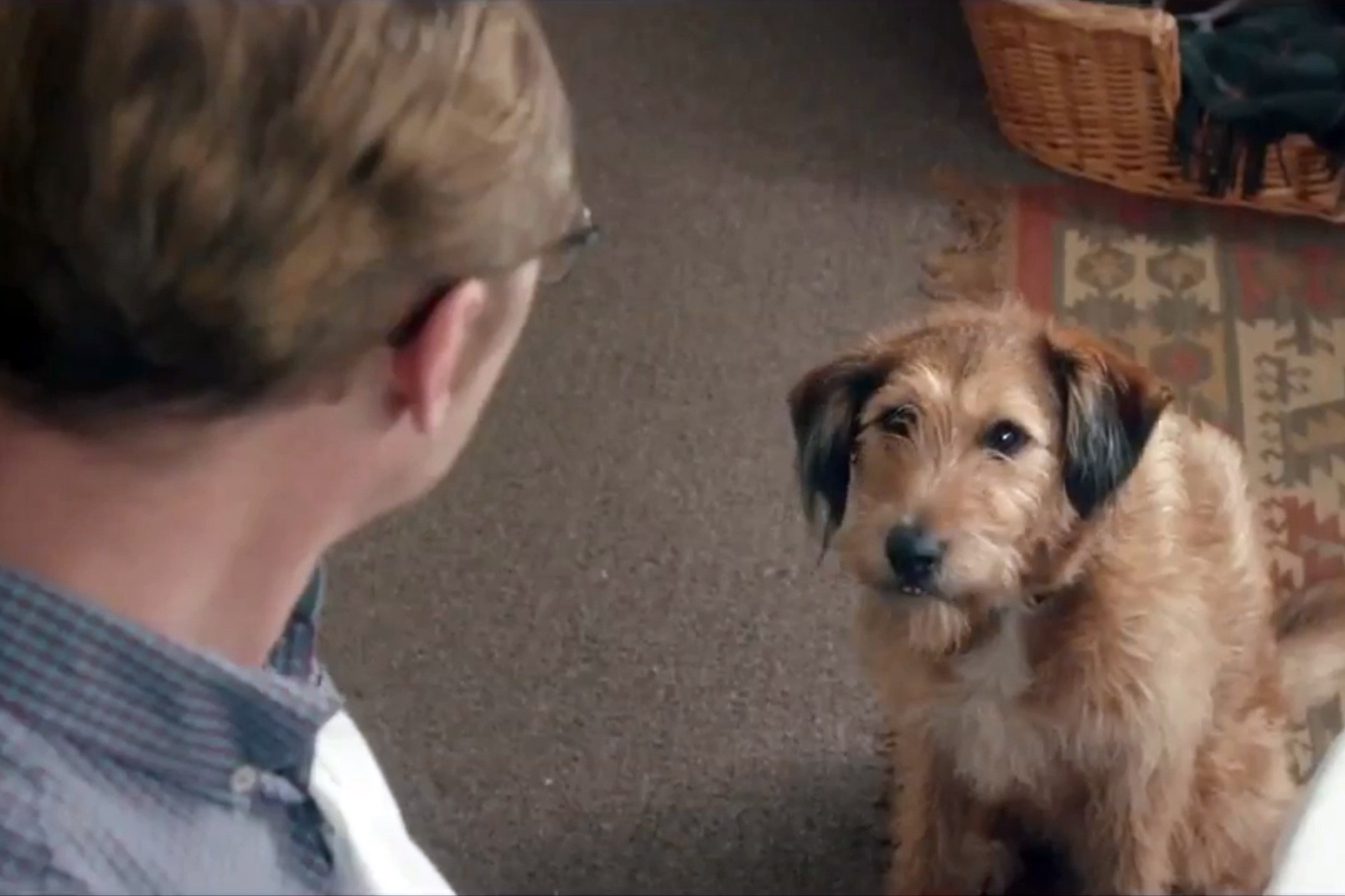 Absolutely Anything Robin Williams Dog