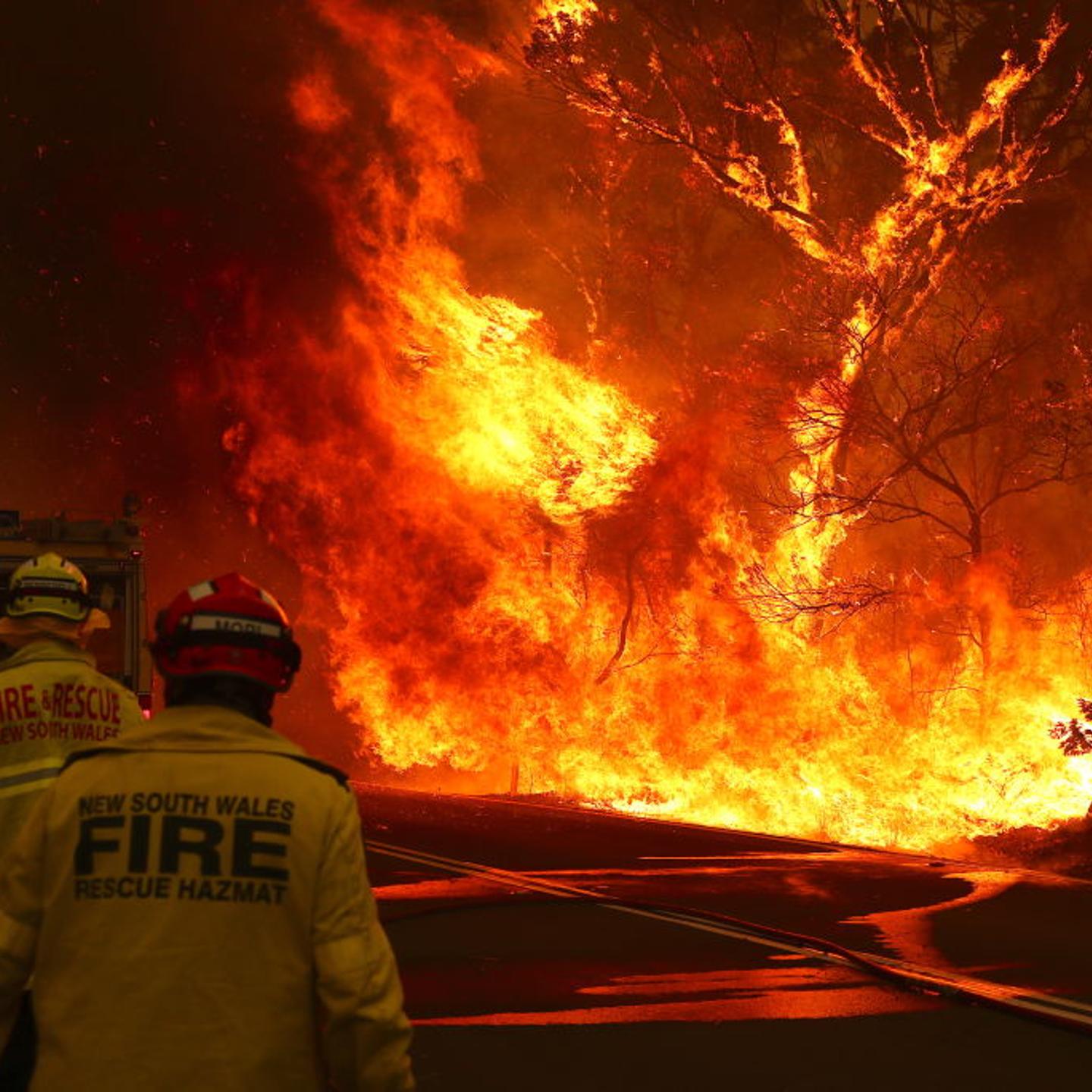 Australia Fires