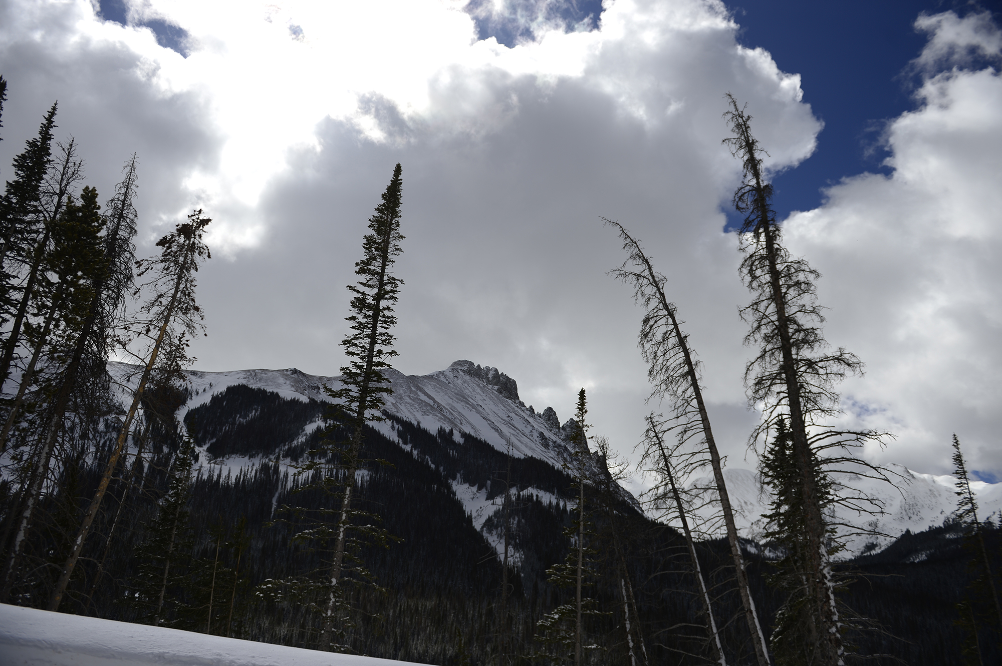 Avalanche survivor buried for three hours