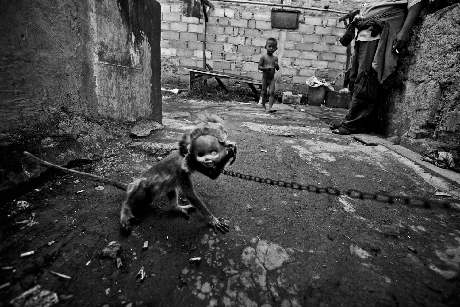 A monkey tears off a rubber baby doll head it is being trained to wear at Kampung Cipinang Besar, also known as "monkey village" in Jakarta, Indonesia. 