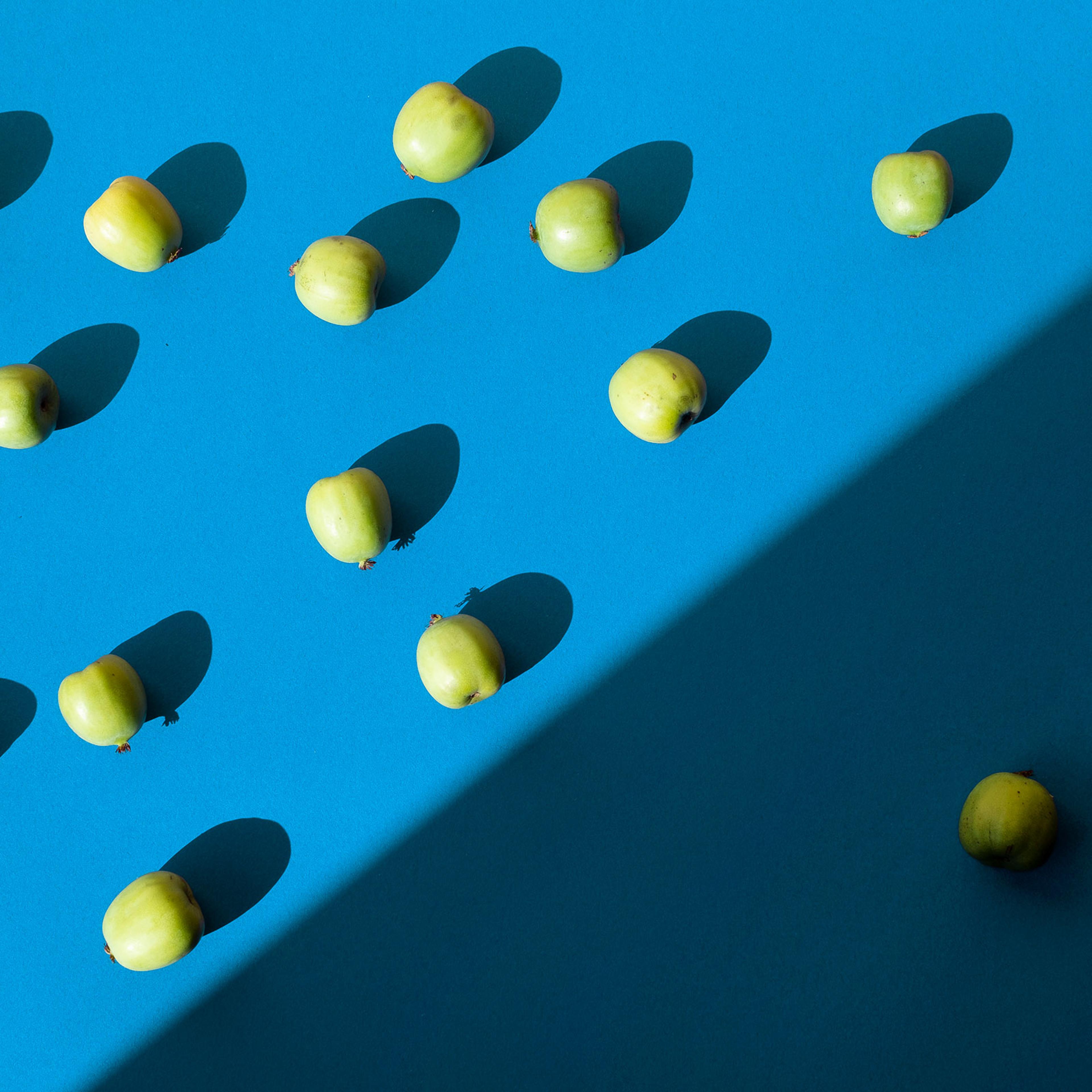 Repeated mini kiwi on the blue background