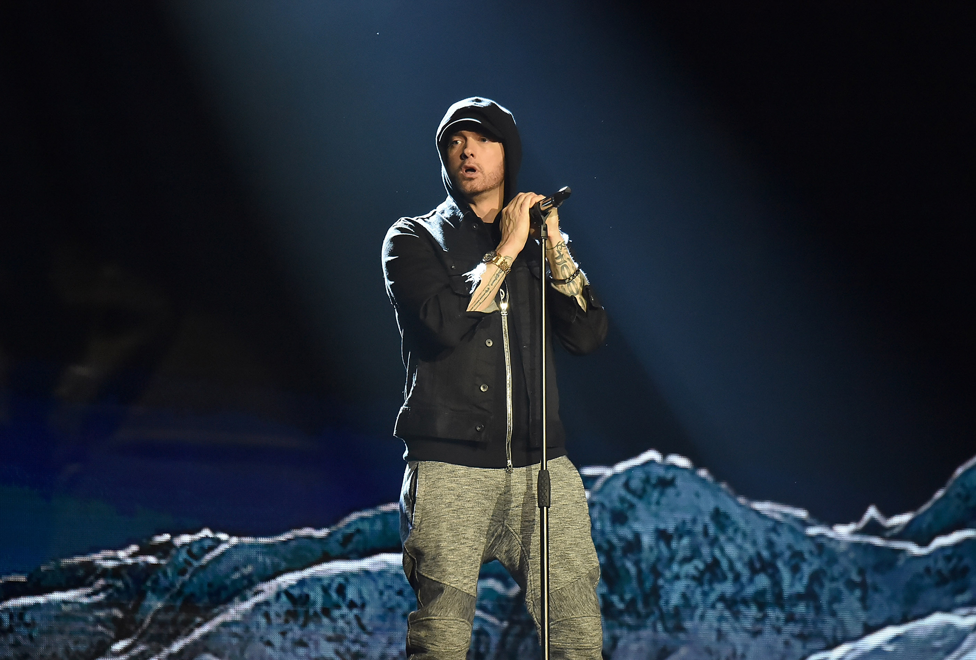 MTV EMAs 2017 - Show