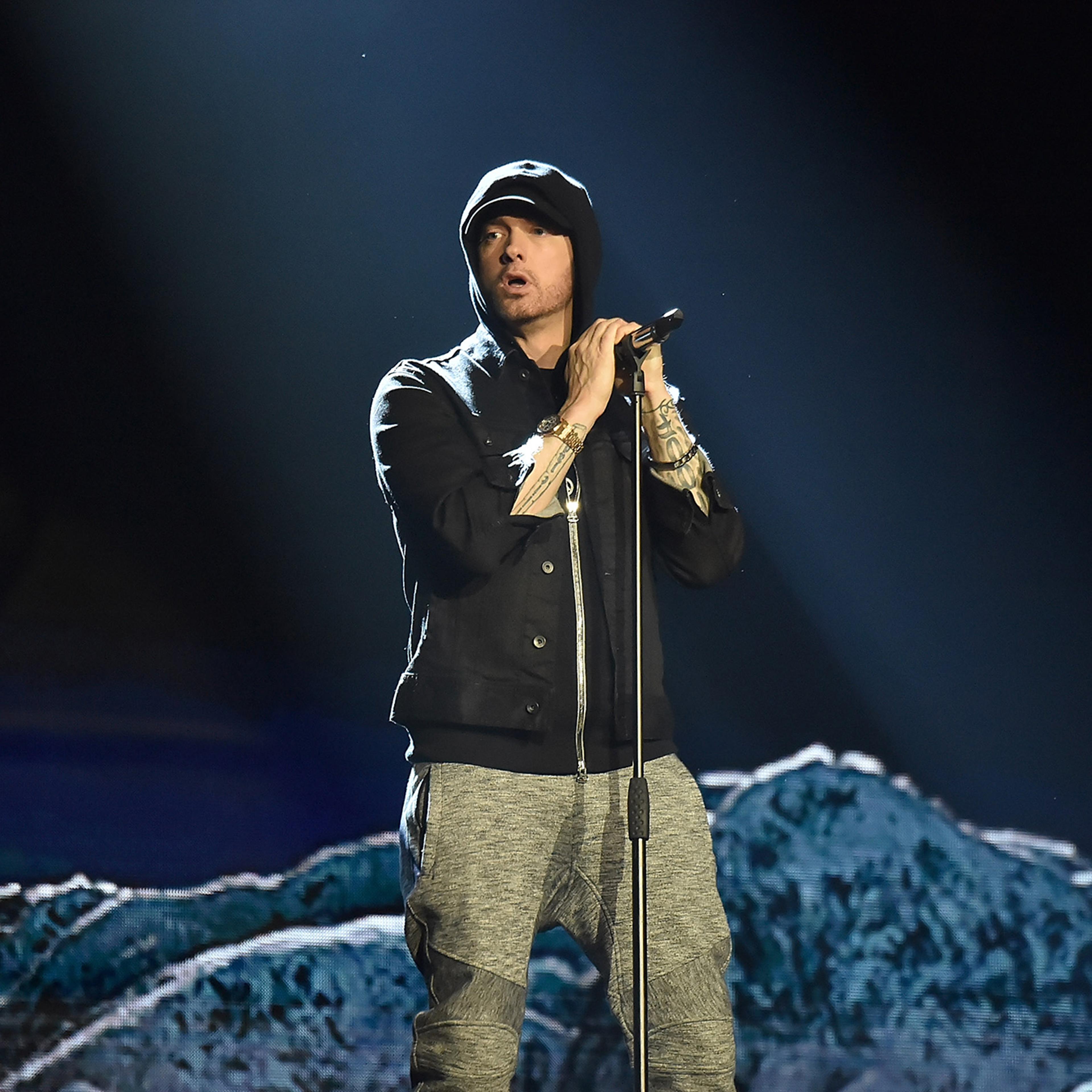 MTV EMAs 2017 - Show