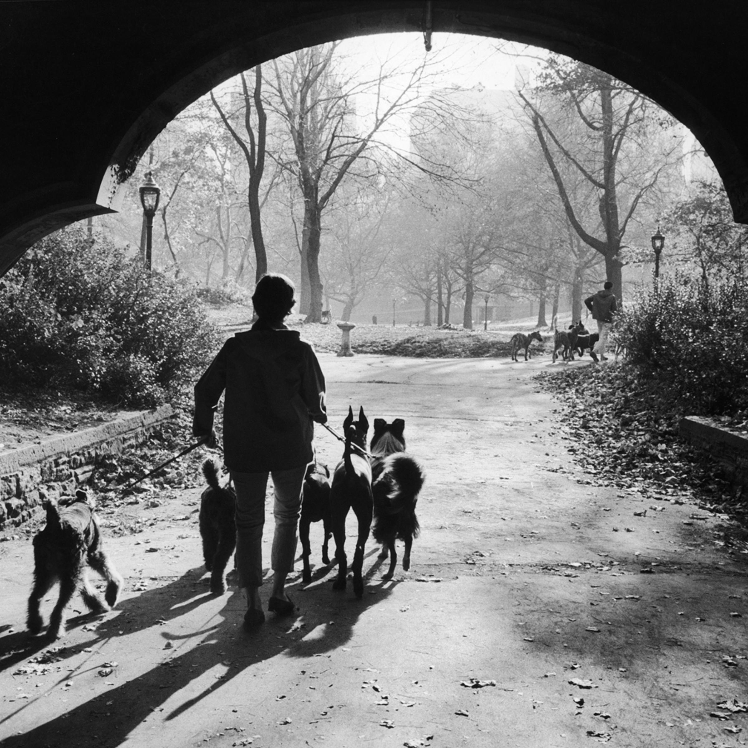 Dog walkers in Central Park, New York, 1967.
