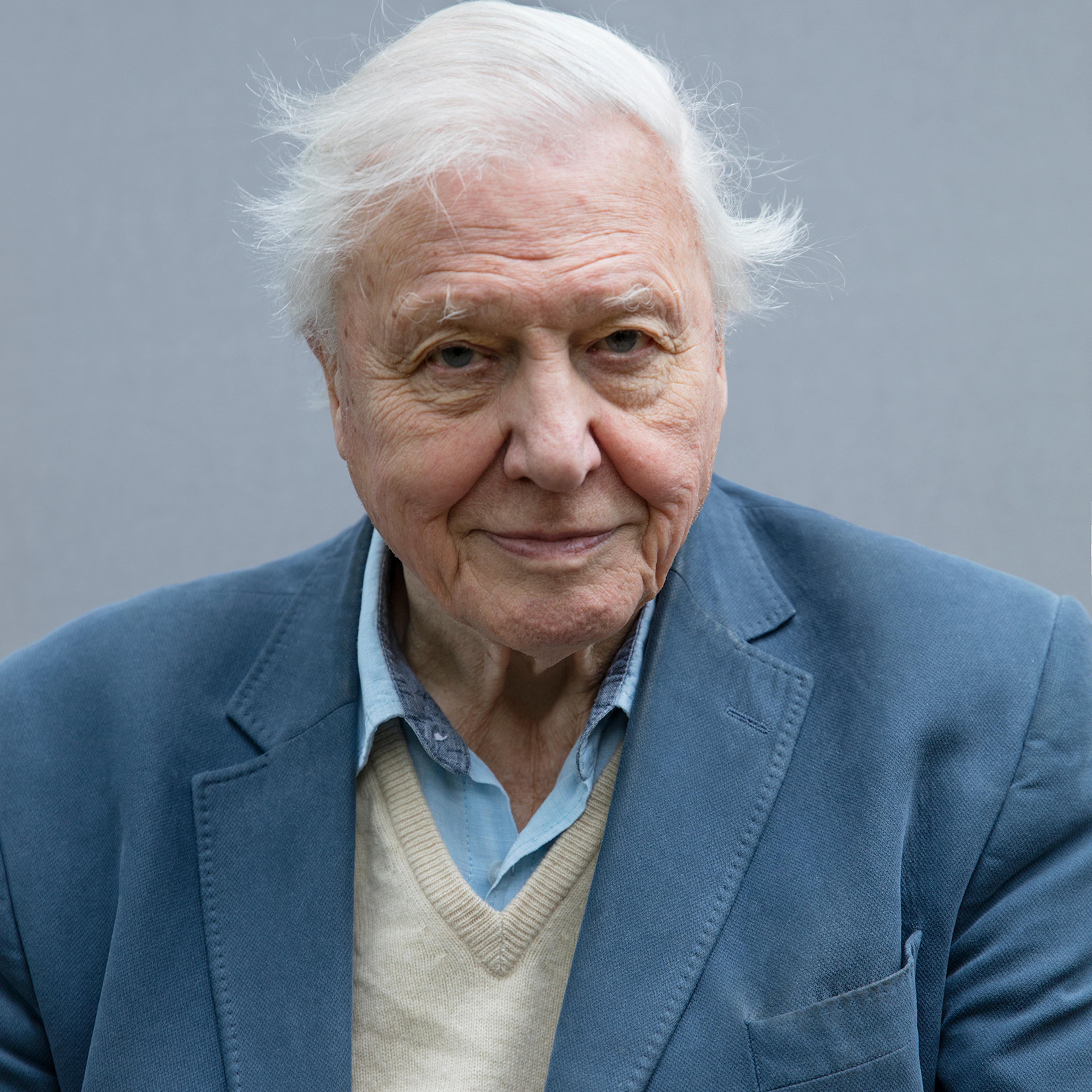 David Attenborough Voice For Our Planet Well