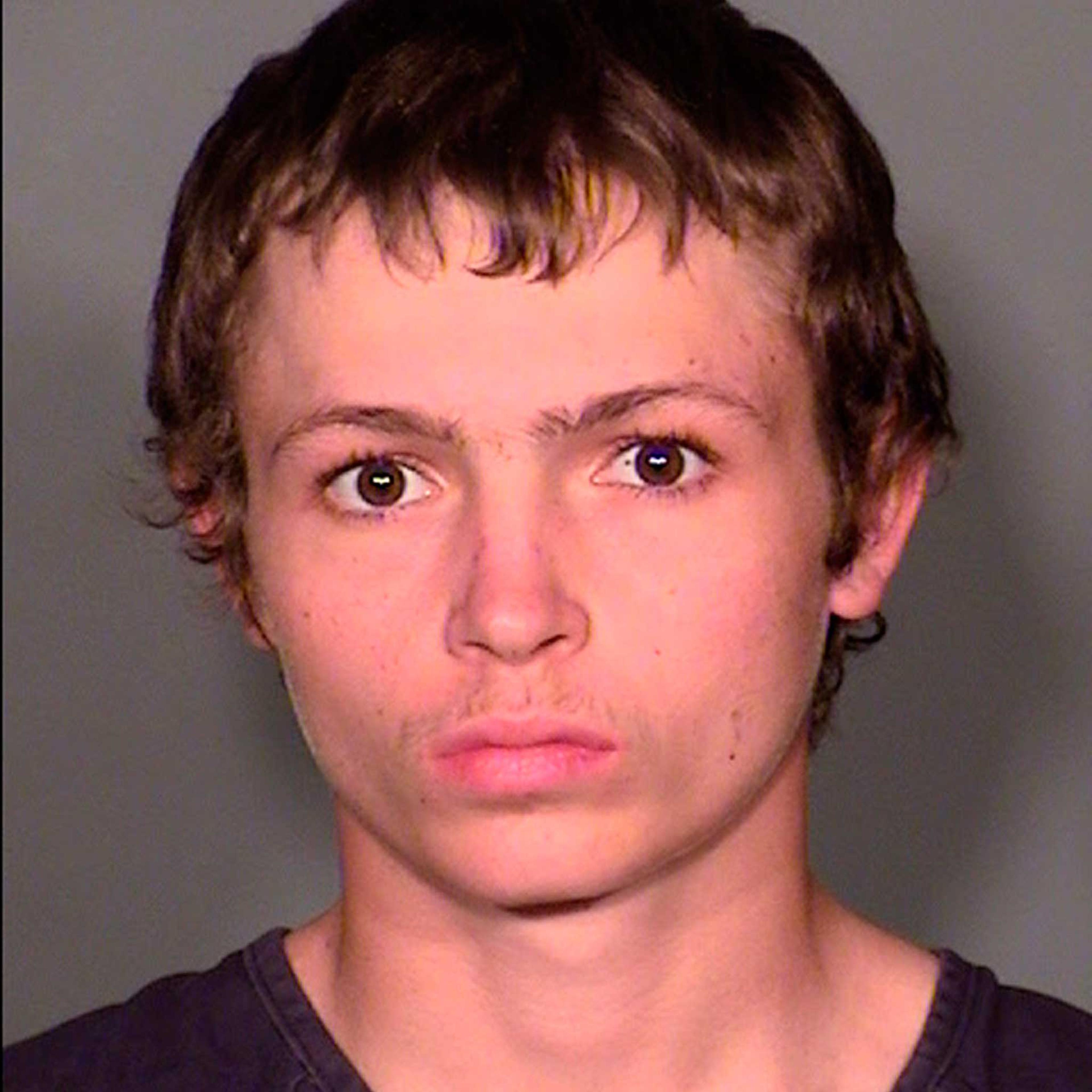 Erich Milton Nowsch is shown in this booking photo released by Las Vegas Metropolitan Police Department on Feb. 20, 2015.