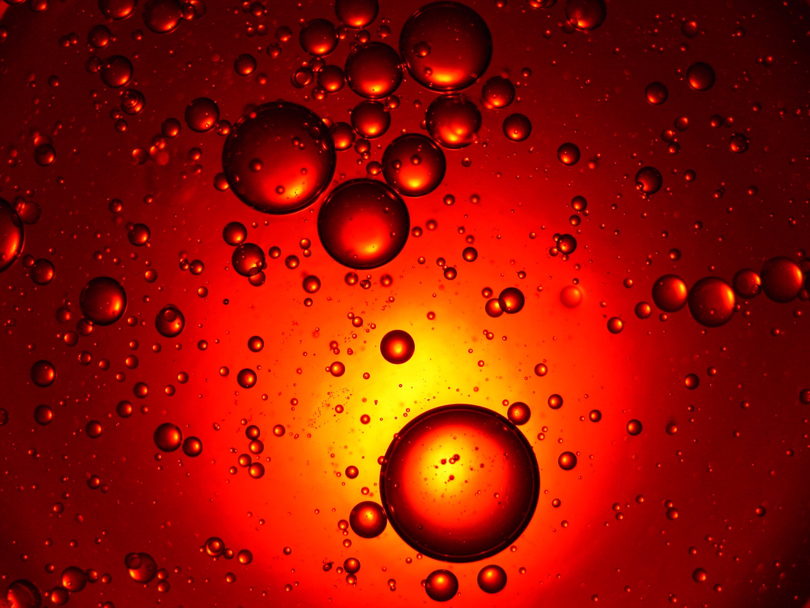Cosmic quaff: We're still a long way from beer in space