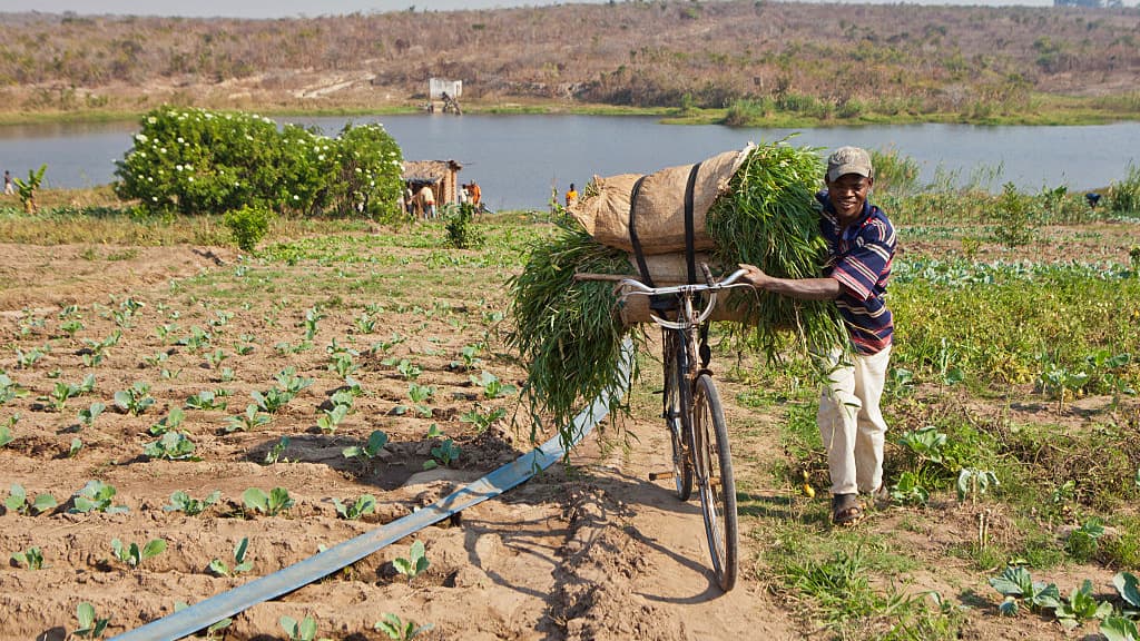 Will Africa's Next Growth Story Start on the Farm? - Time Magazine