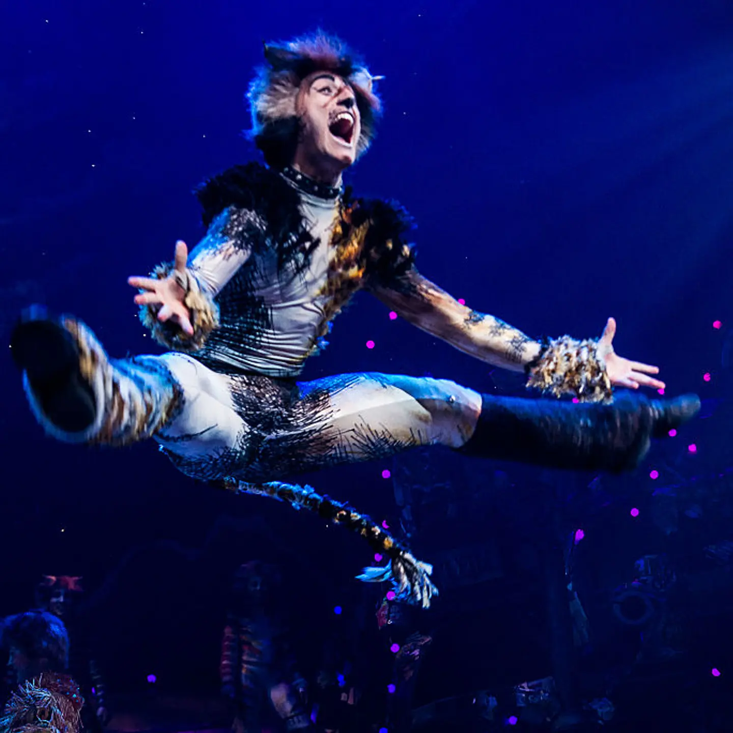 The First-Ever Revival of Andrew Lloyd Webber's Iconic CATS Opens on Broadway