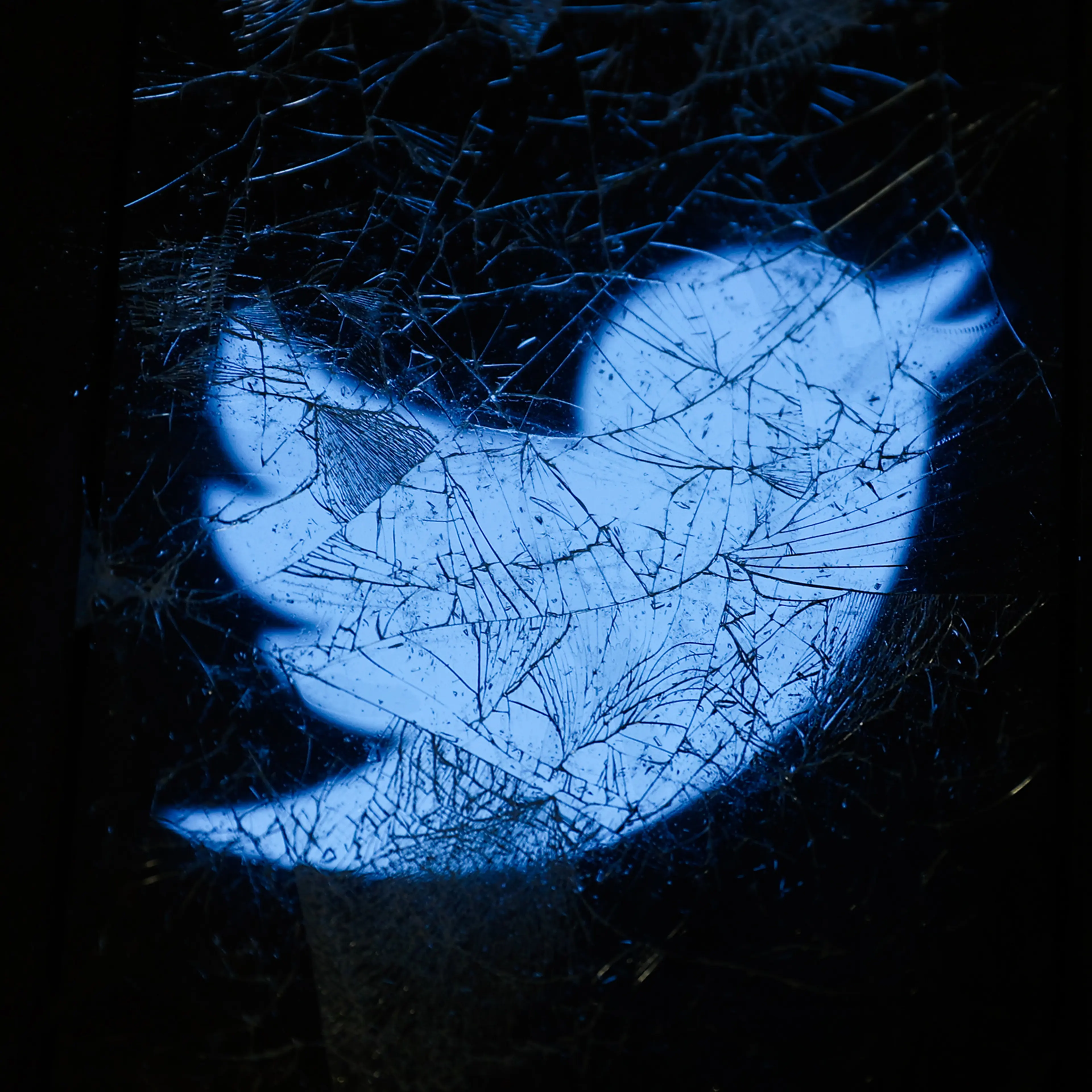 Twitter Alternatives Photo Illustrations