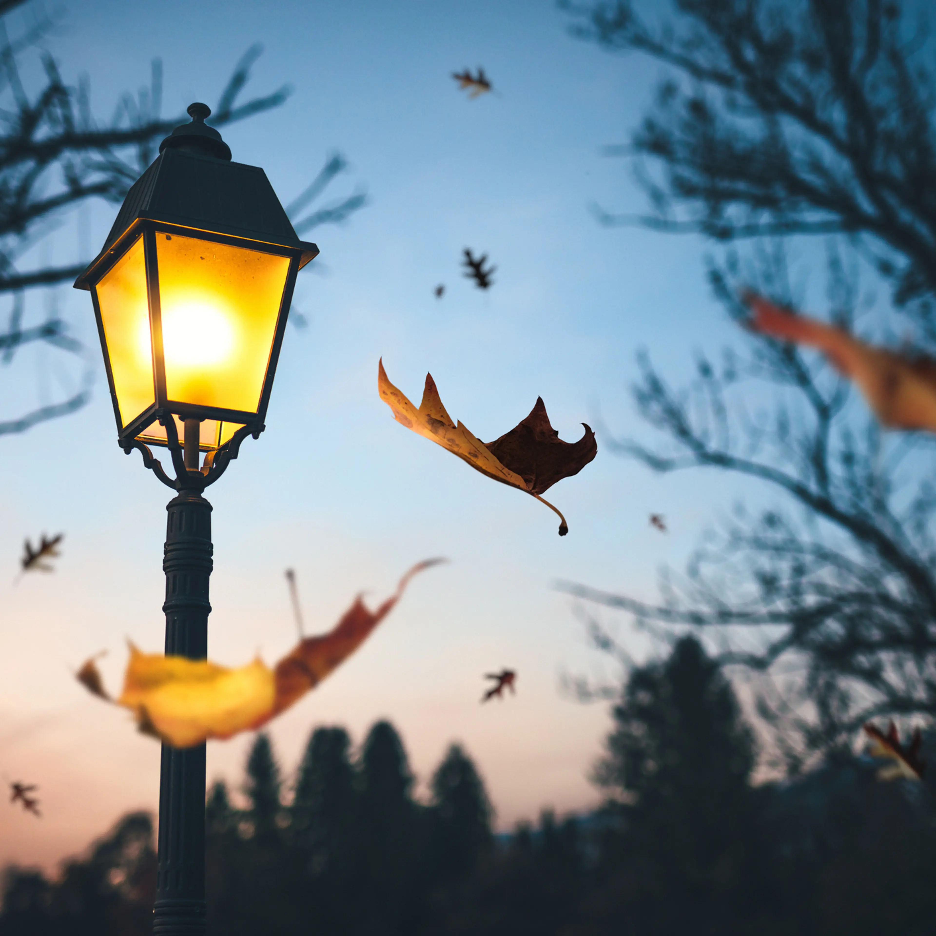 Autumn Time