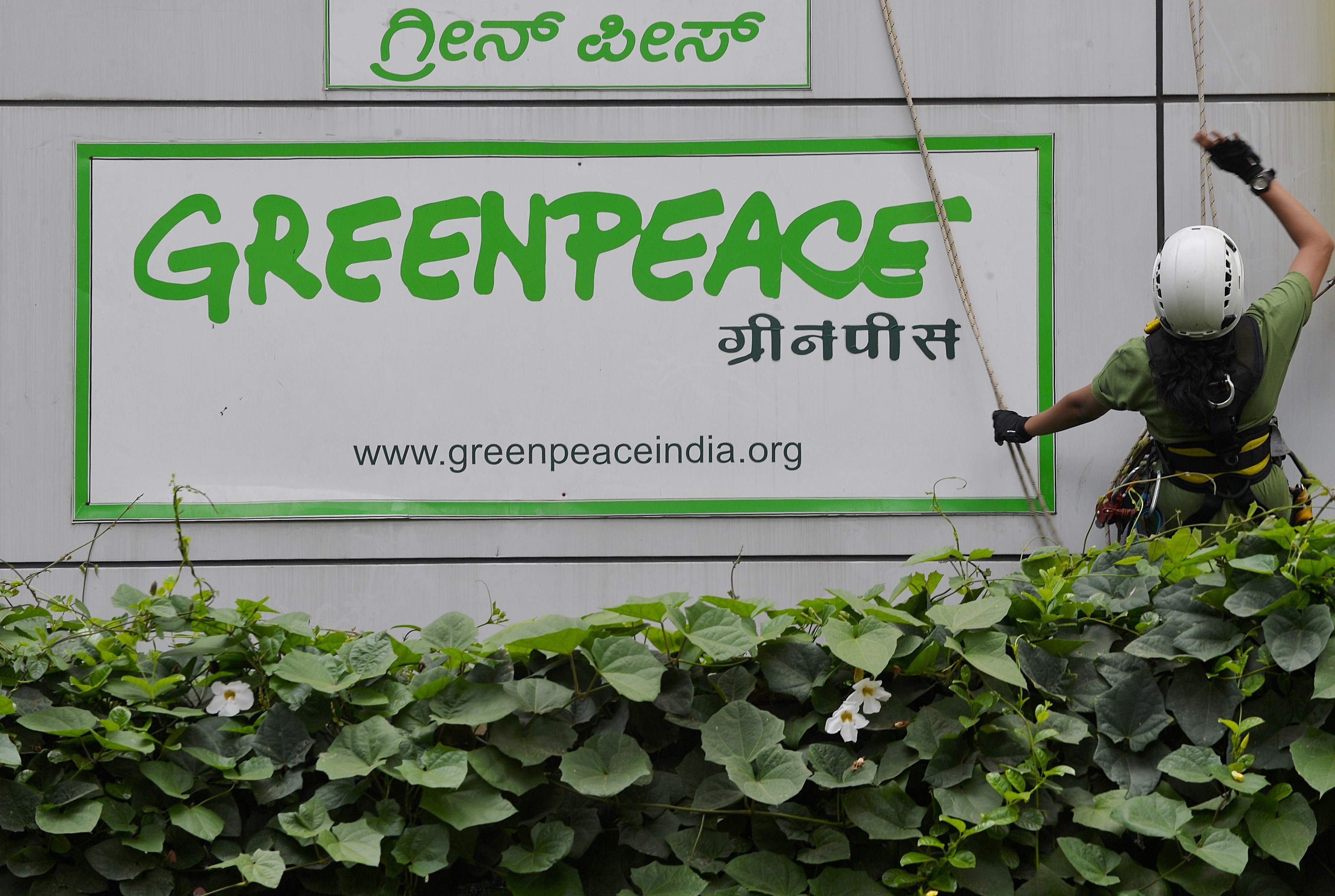 INDIA-GREENPEACE-BAN