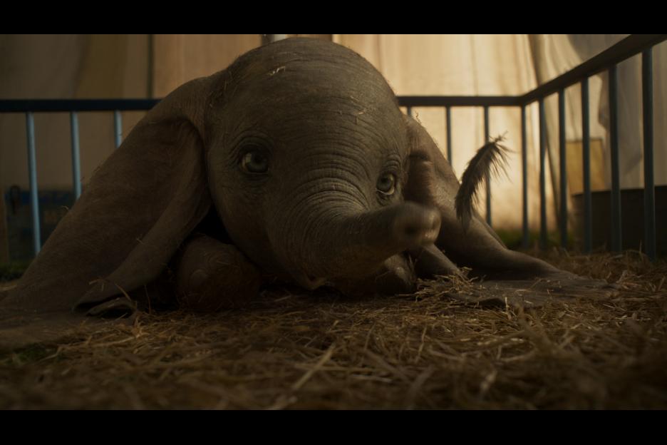 What's different from 2019 Dumbo and the original?