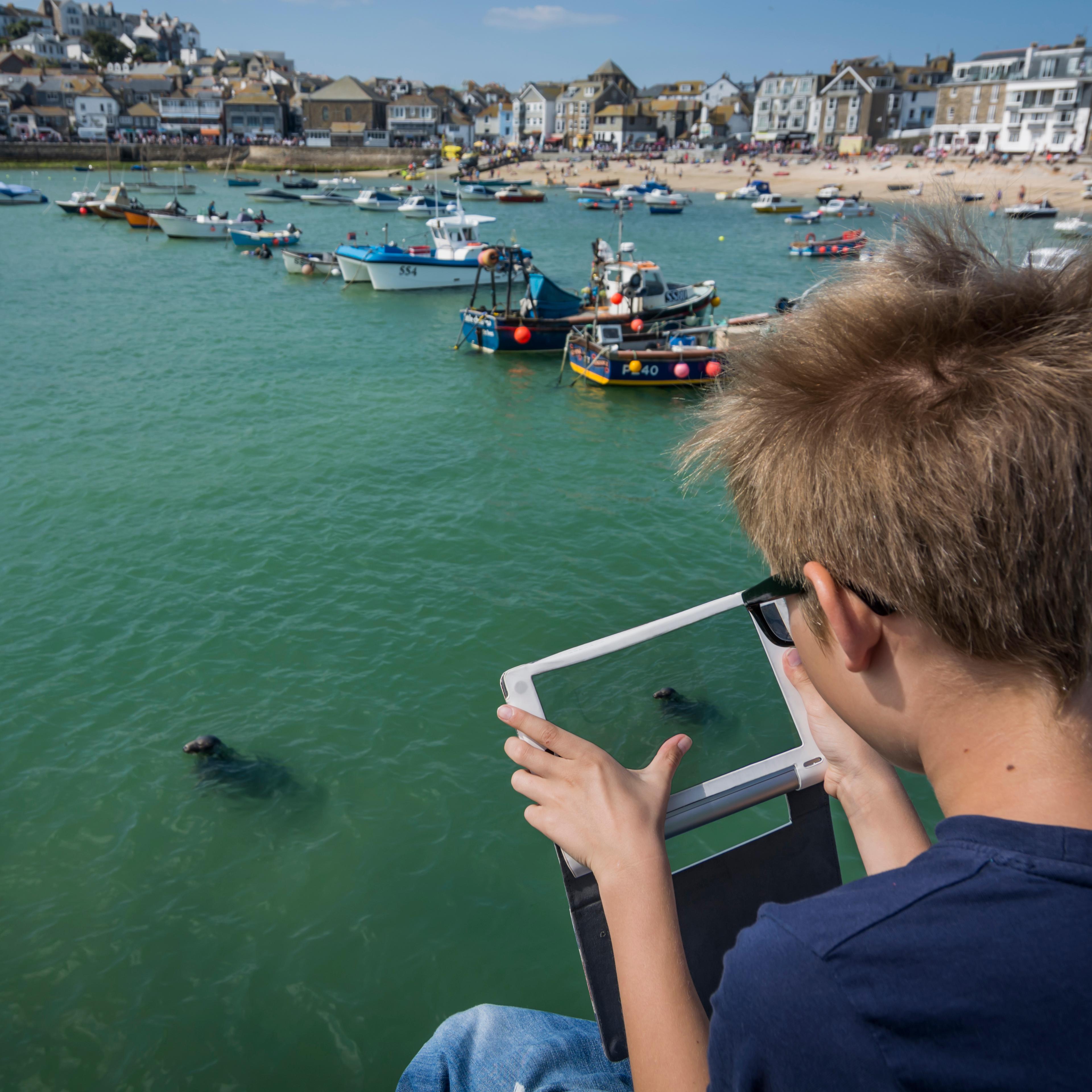 UK, Cornwall, boy photographing a seal at St Ives with his digital tablet