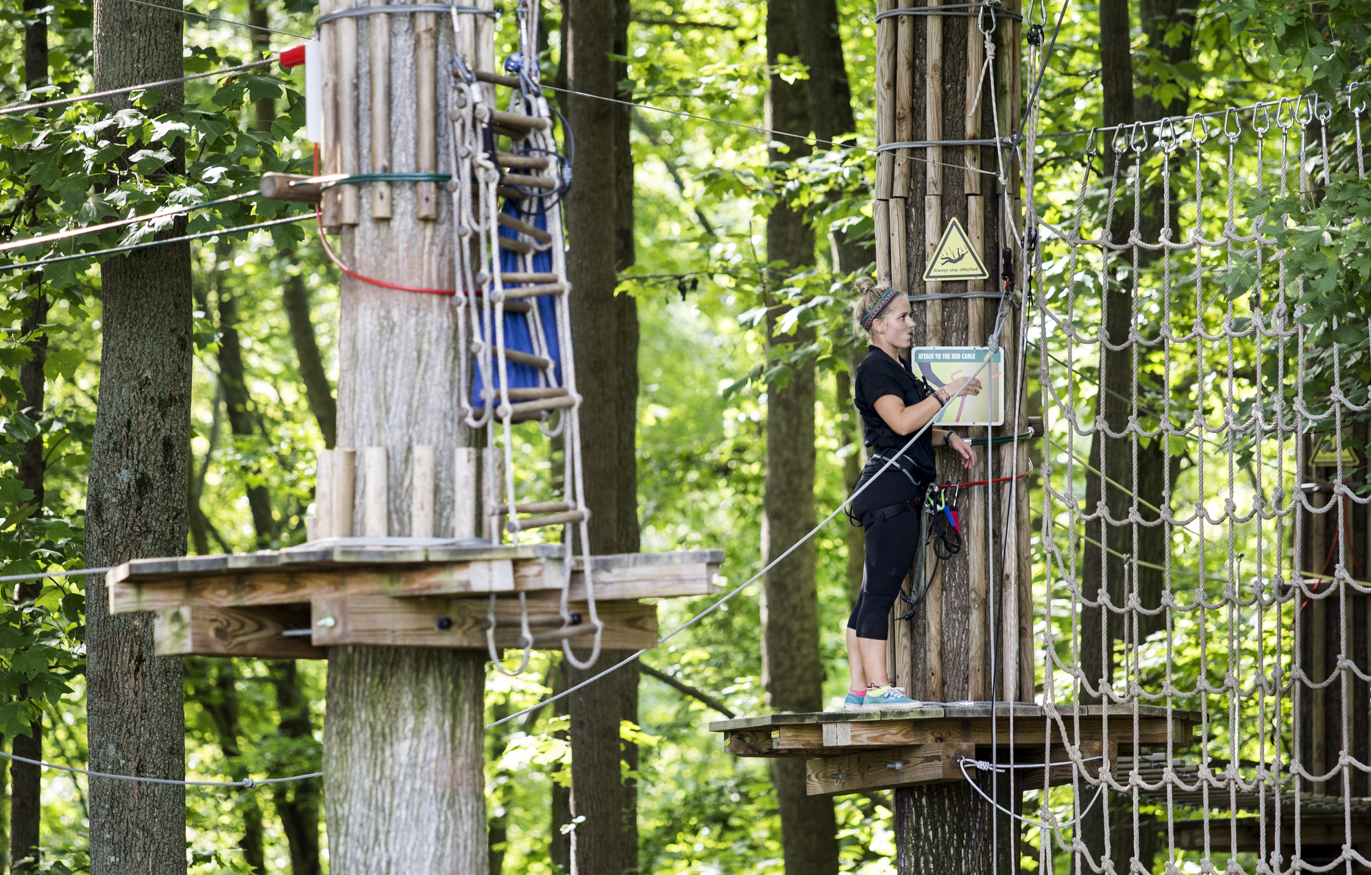 Zip Line