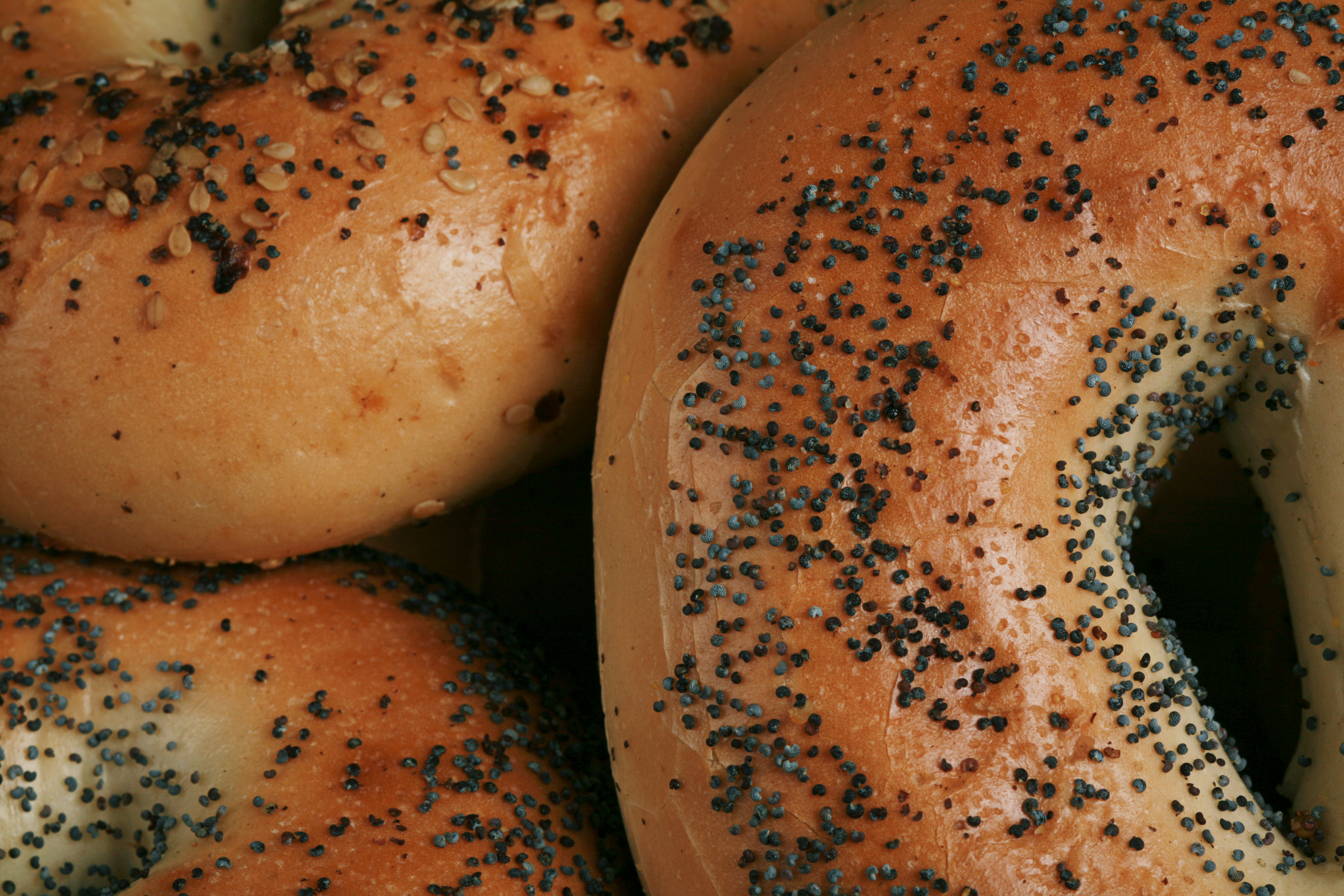 Bagel Closeup