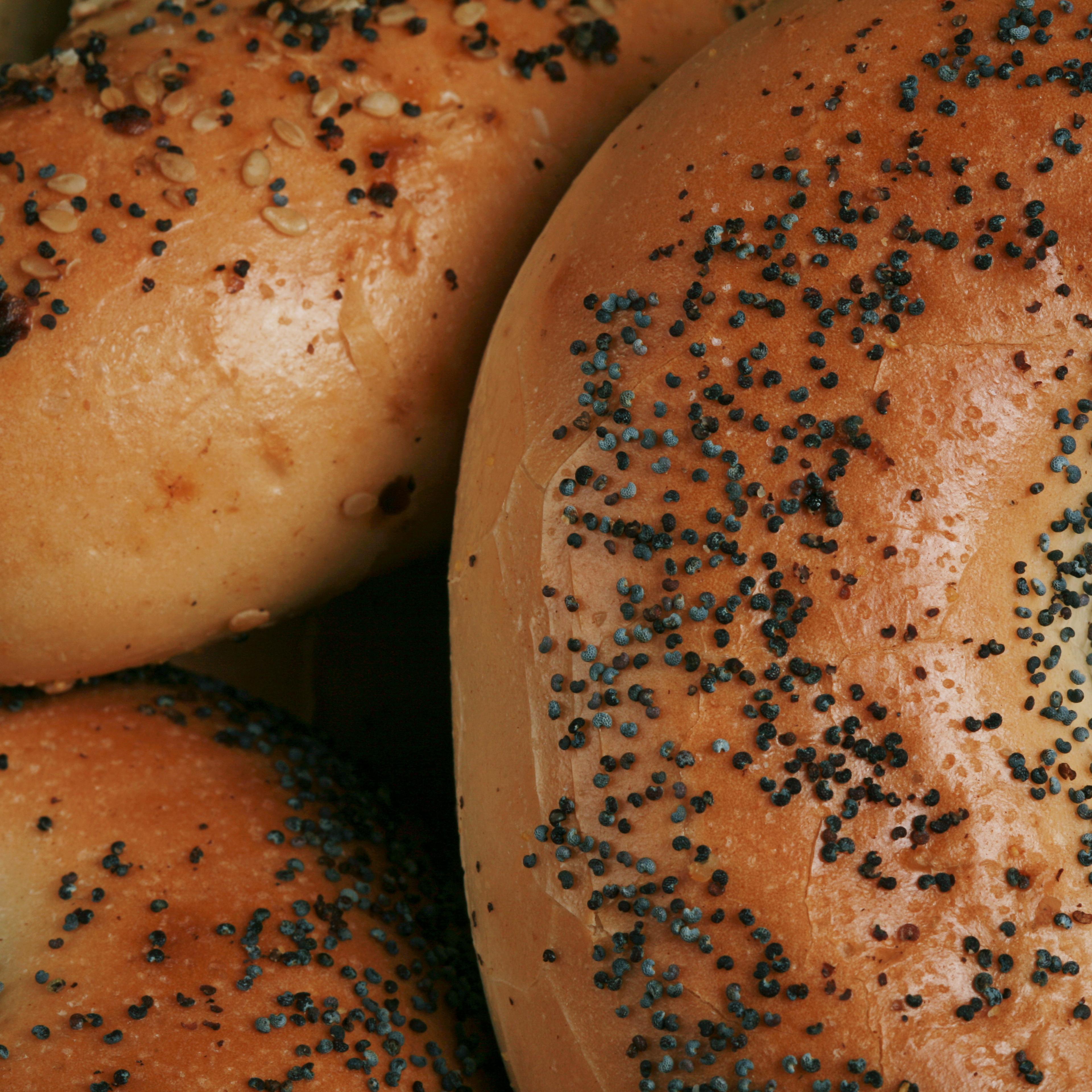 Bagel Closeup