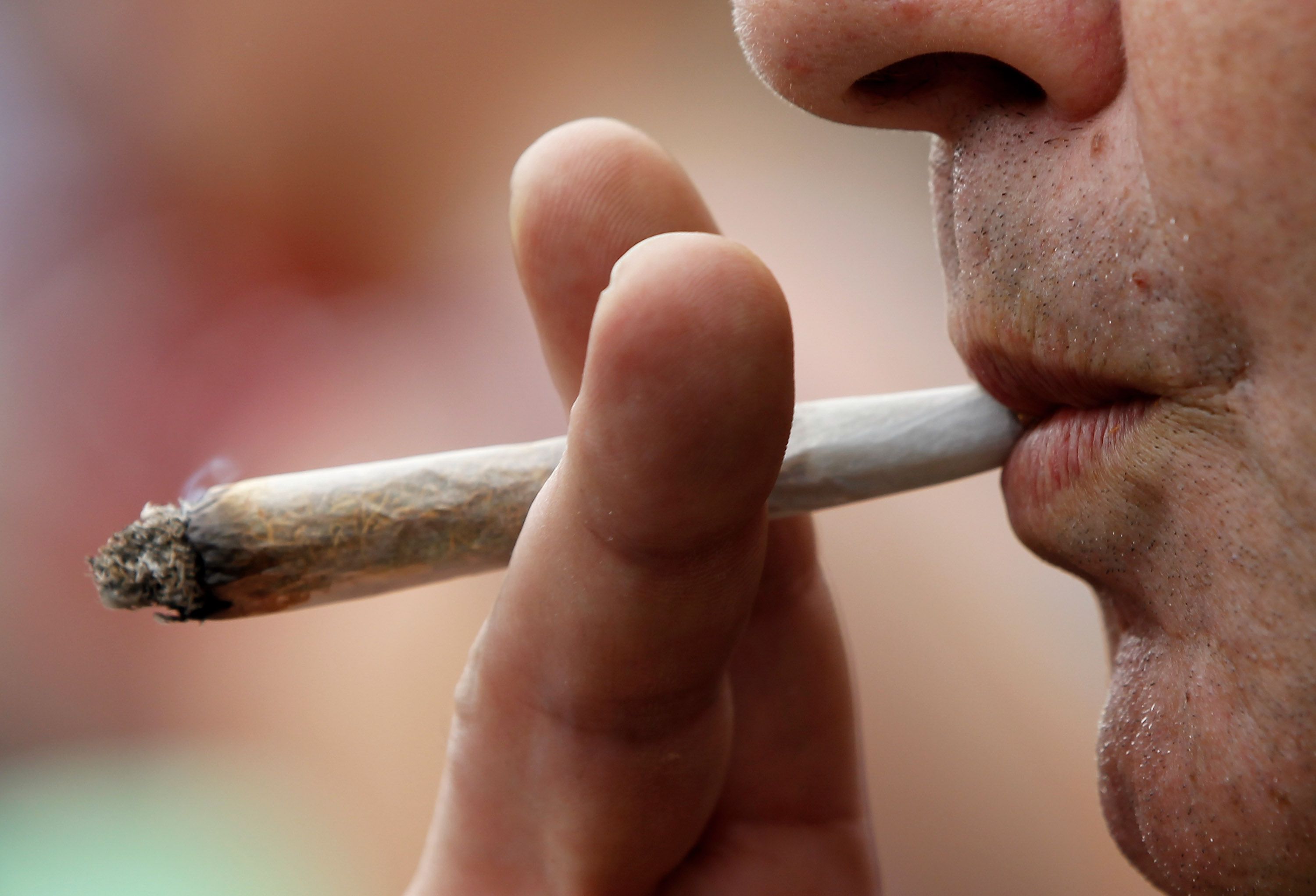 Marijuana Supporters March In Hemp Parade