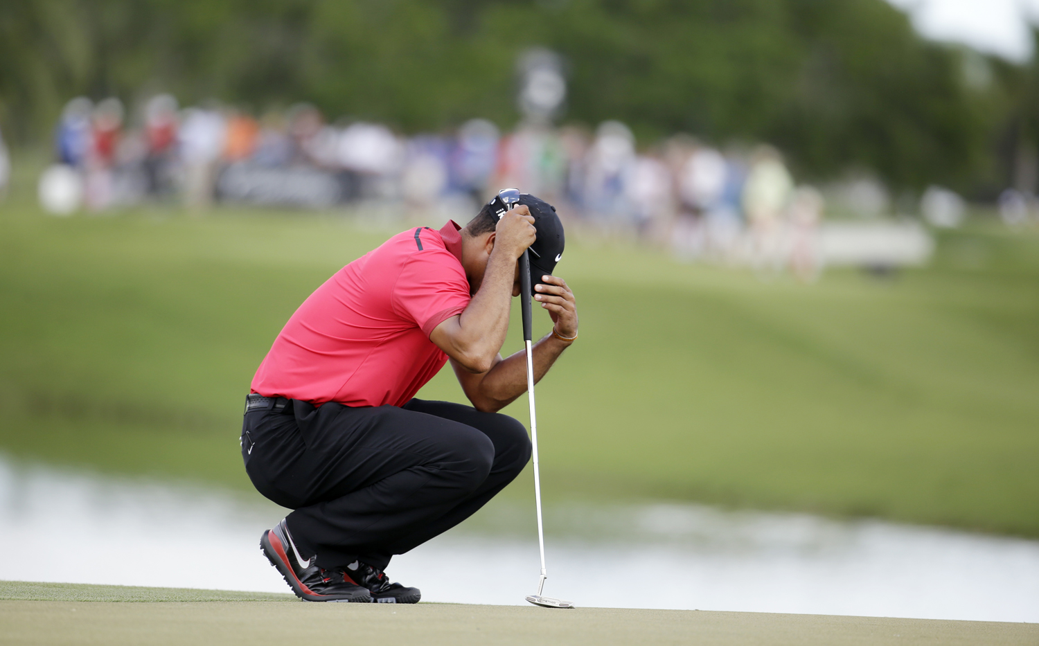Tiger Woods