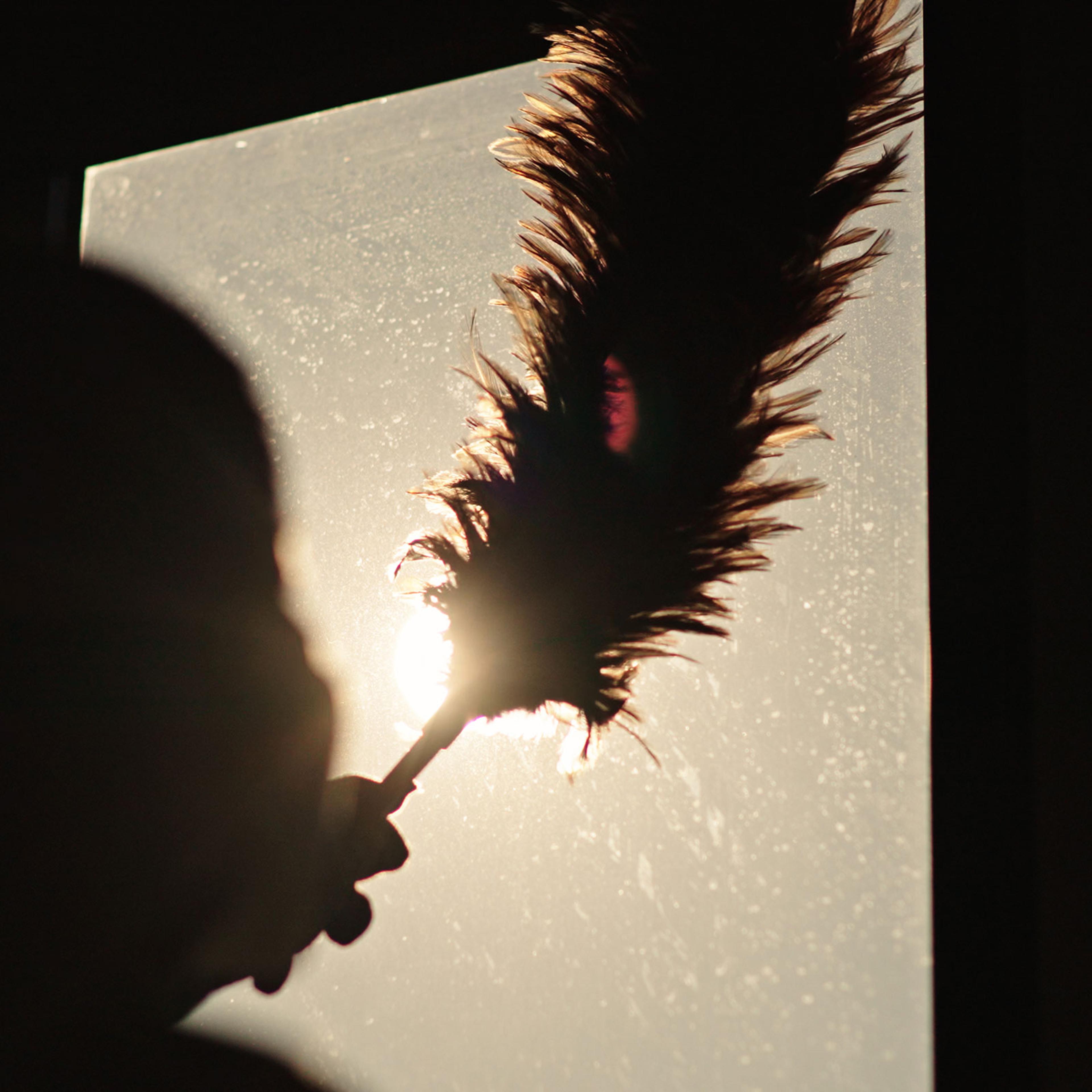 A silhouetted image of a person dusting