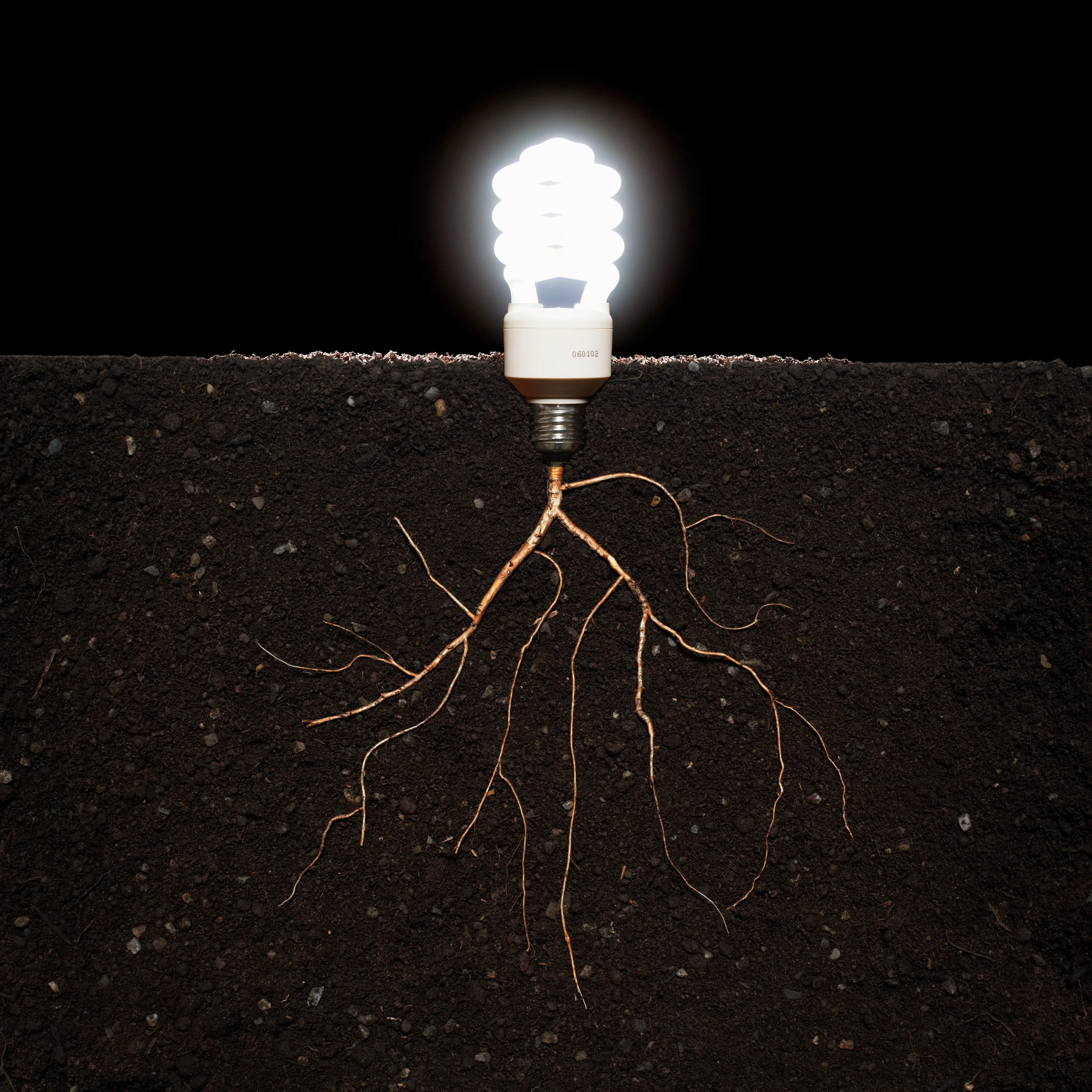 Energy efficient lightbulb growing from plant roots in soil, close-up