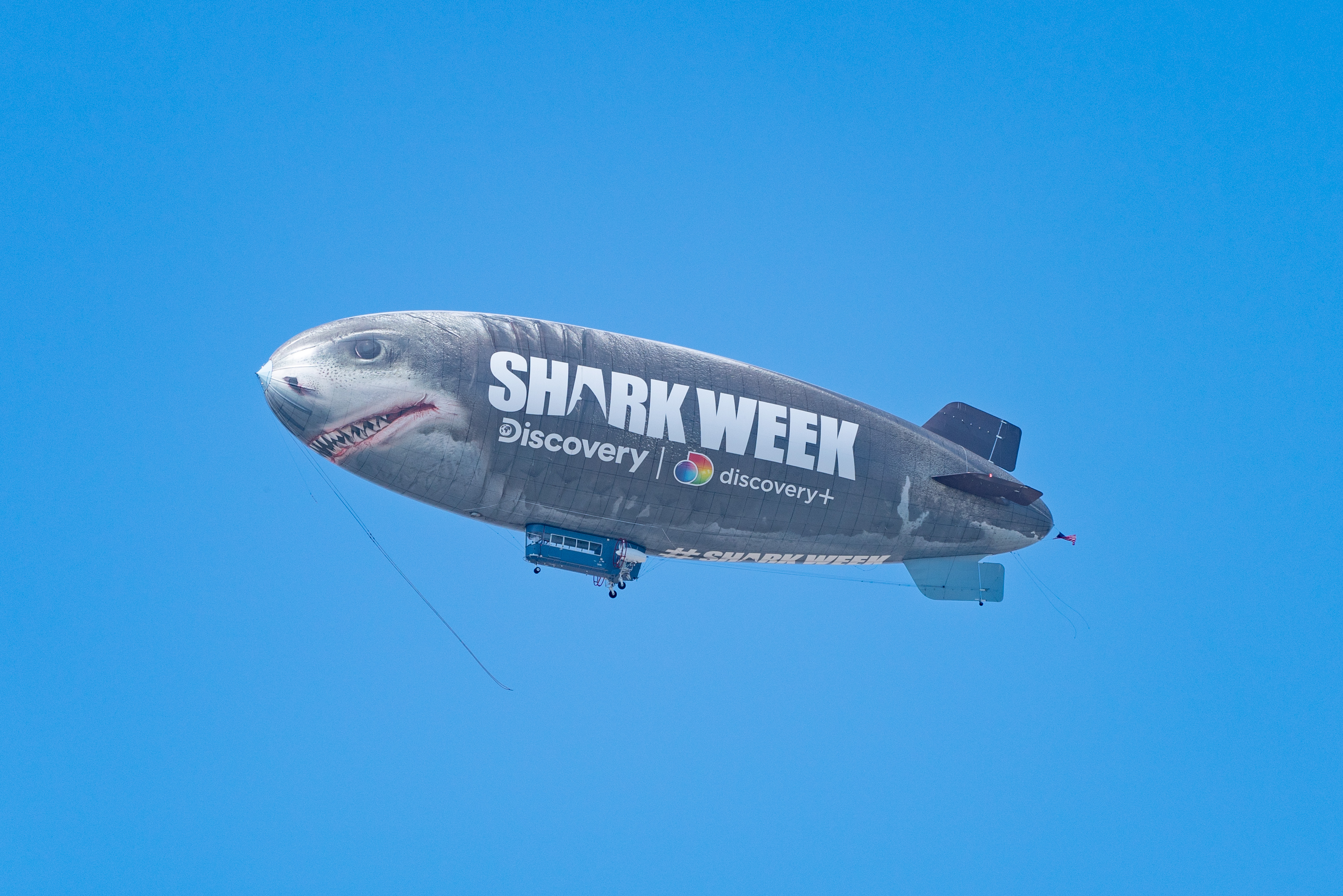 Shark Week