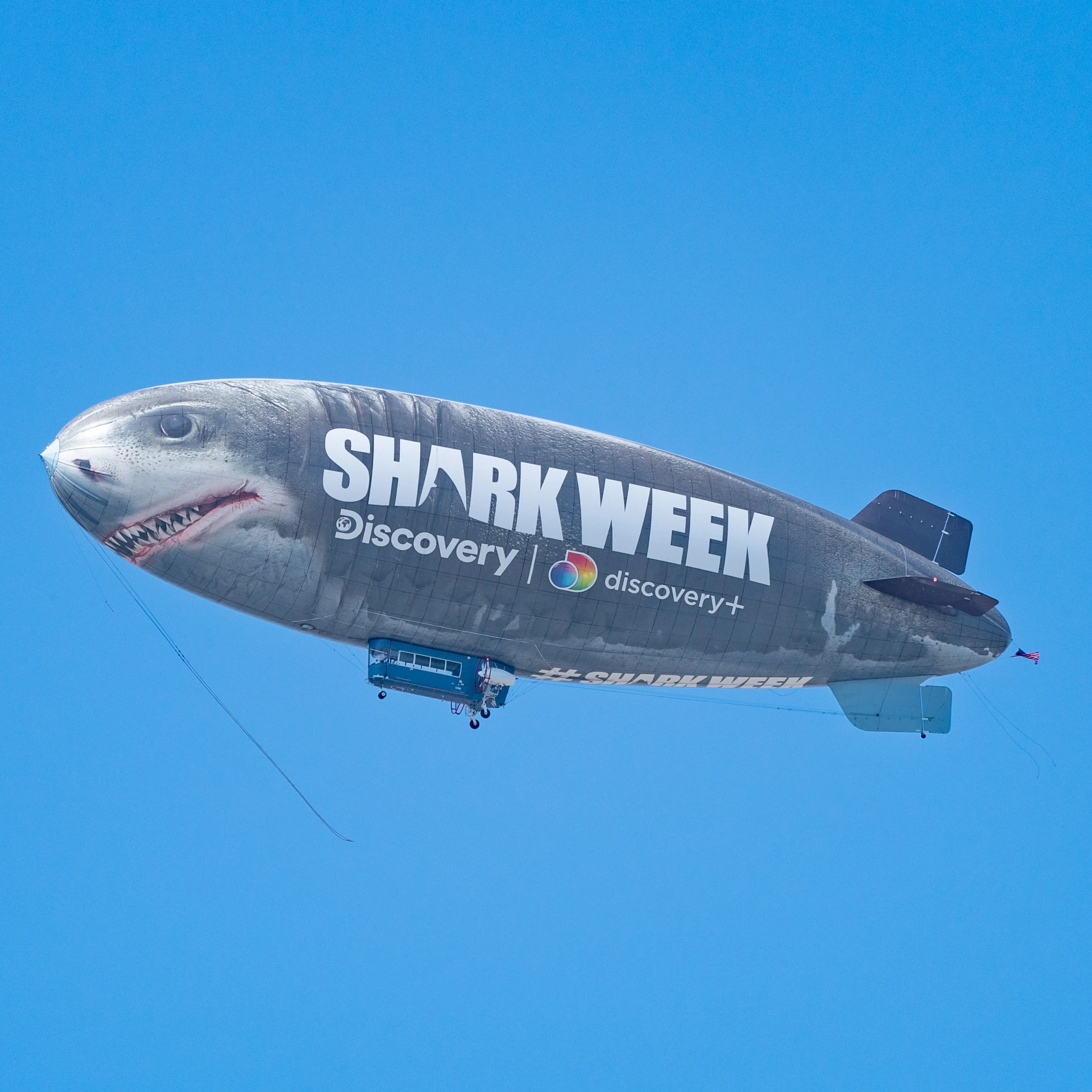 Shark Week