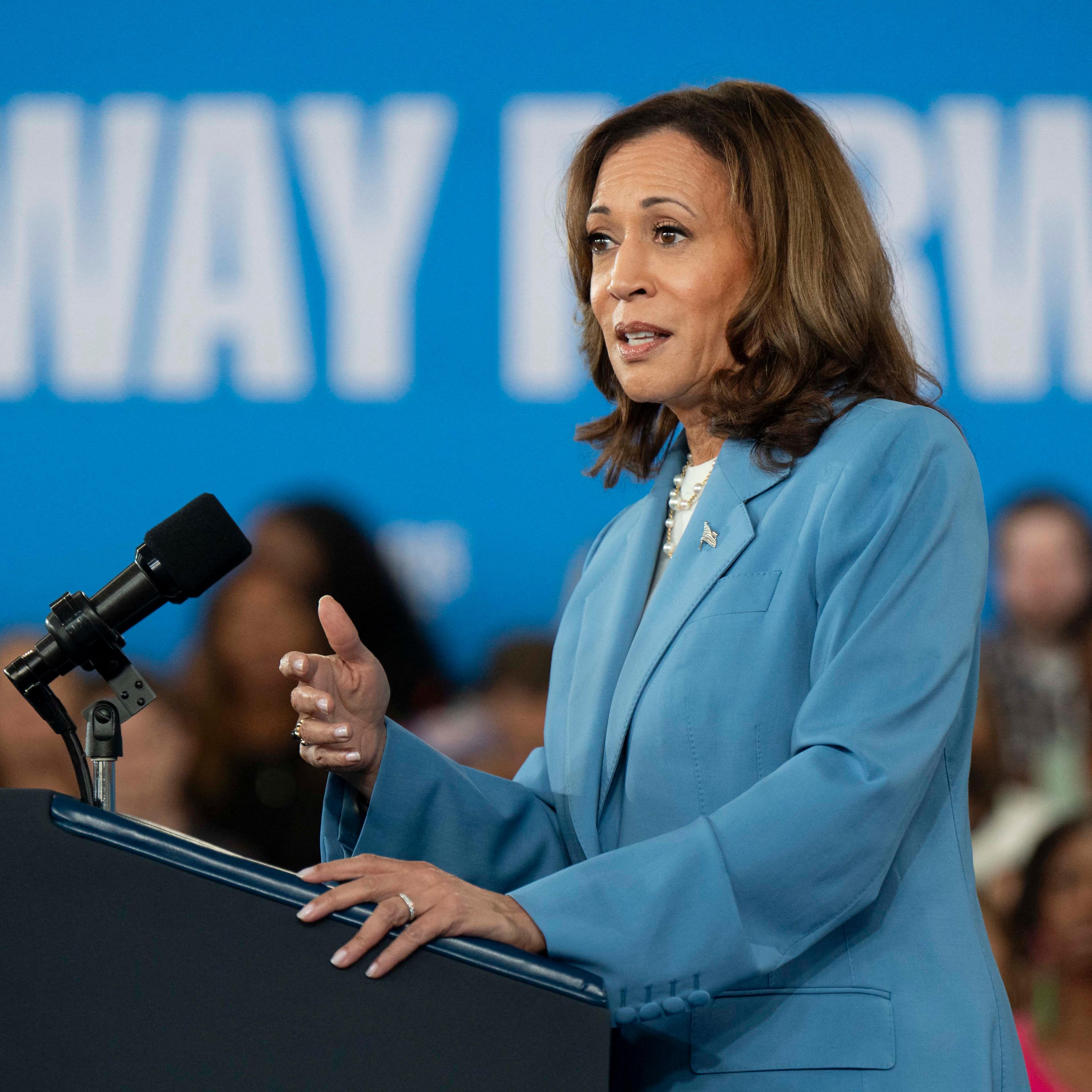 US-VOTE-POLITICS-HARRIS