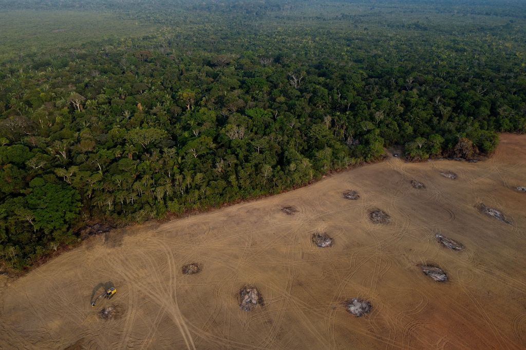 BRAZIL-ENVIRONMENT-DEFORESTATION
