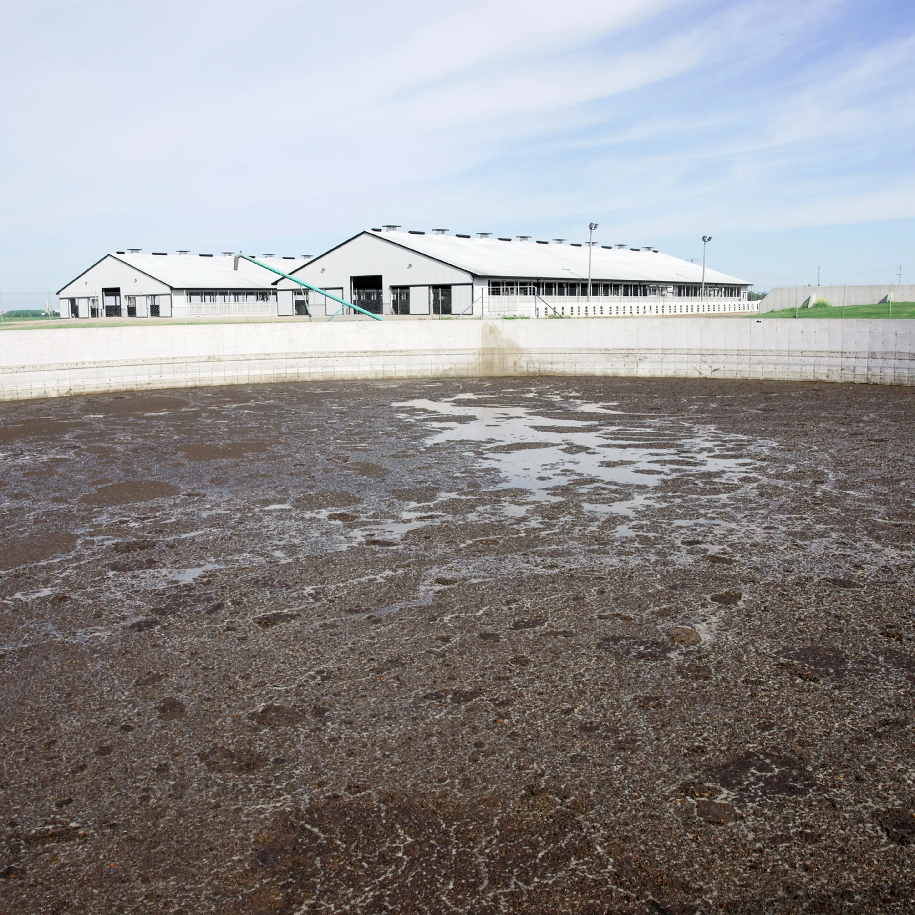 Animal waste collected on a dairy farm