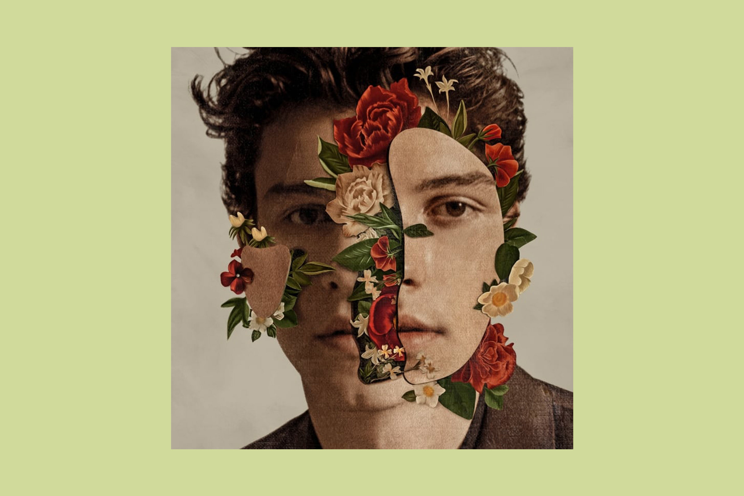 Shawn Mendes, Shawn Mendes