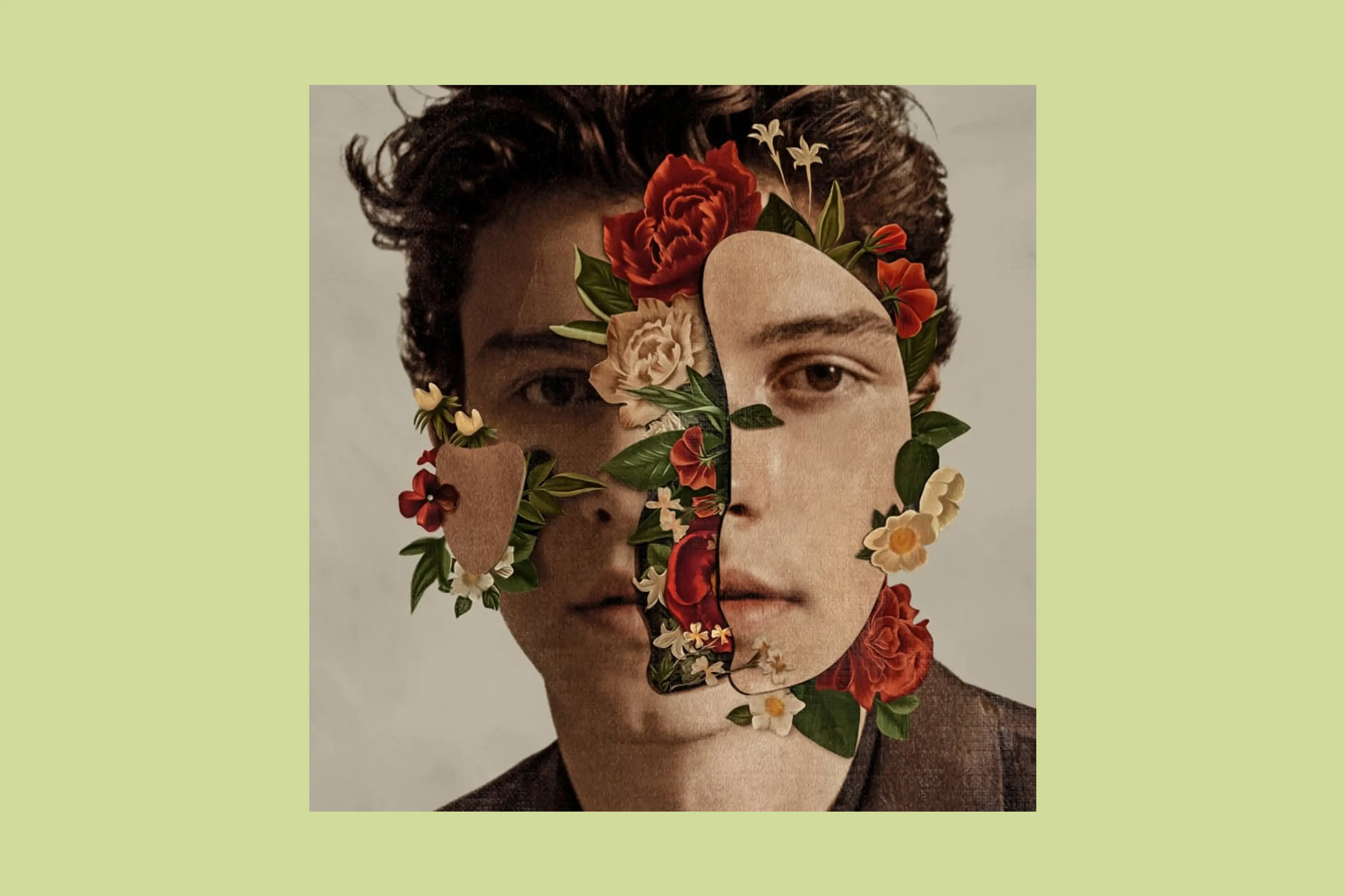 Shawn Mendes, Shawn Mendes