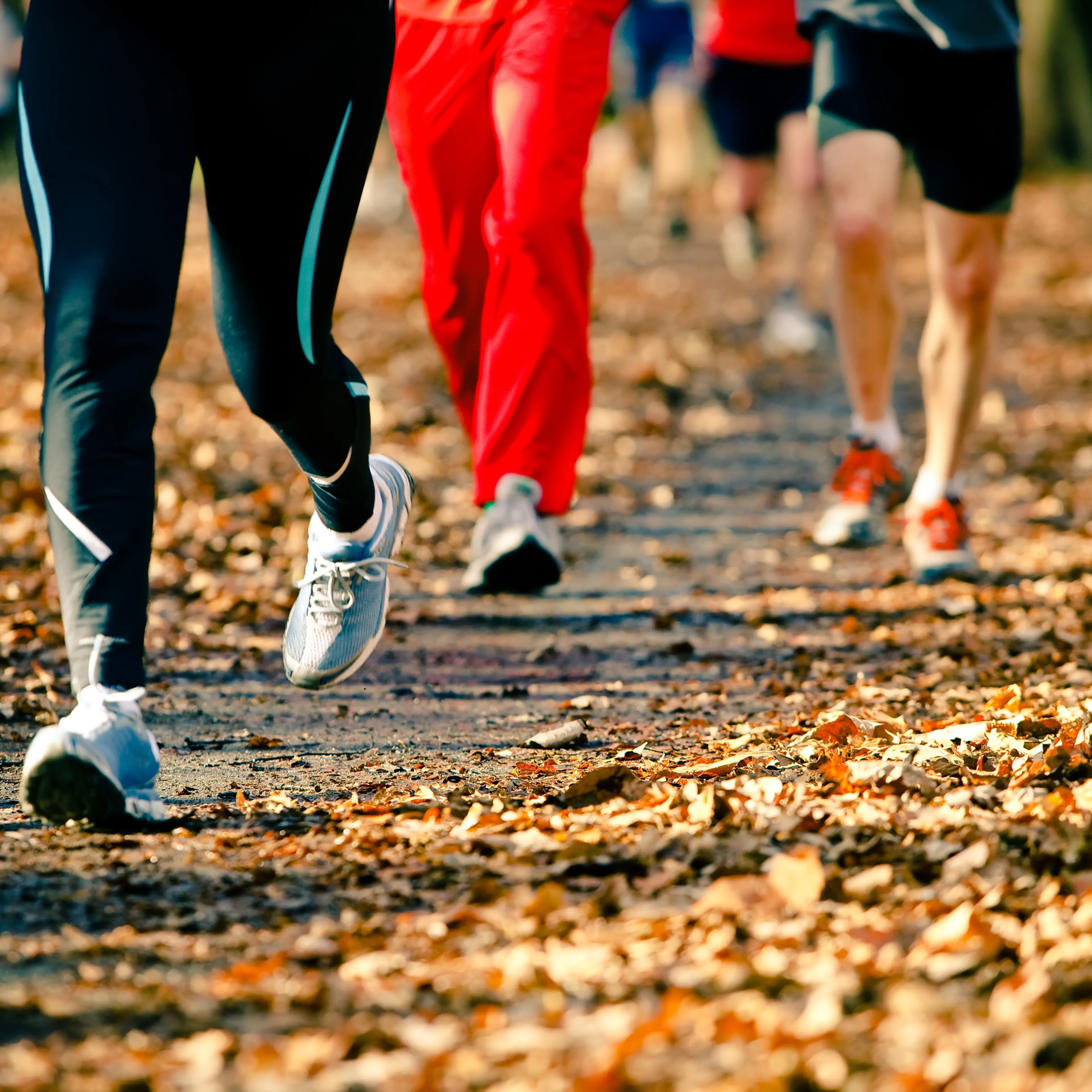 People running in the autumn race