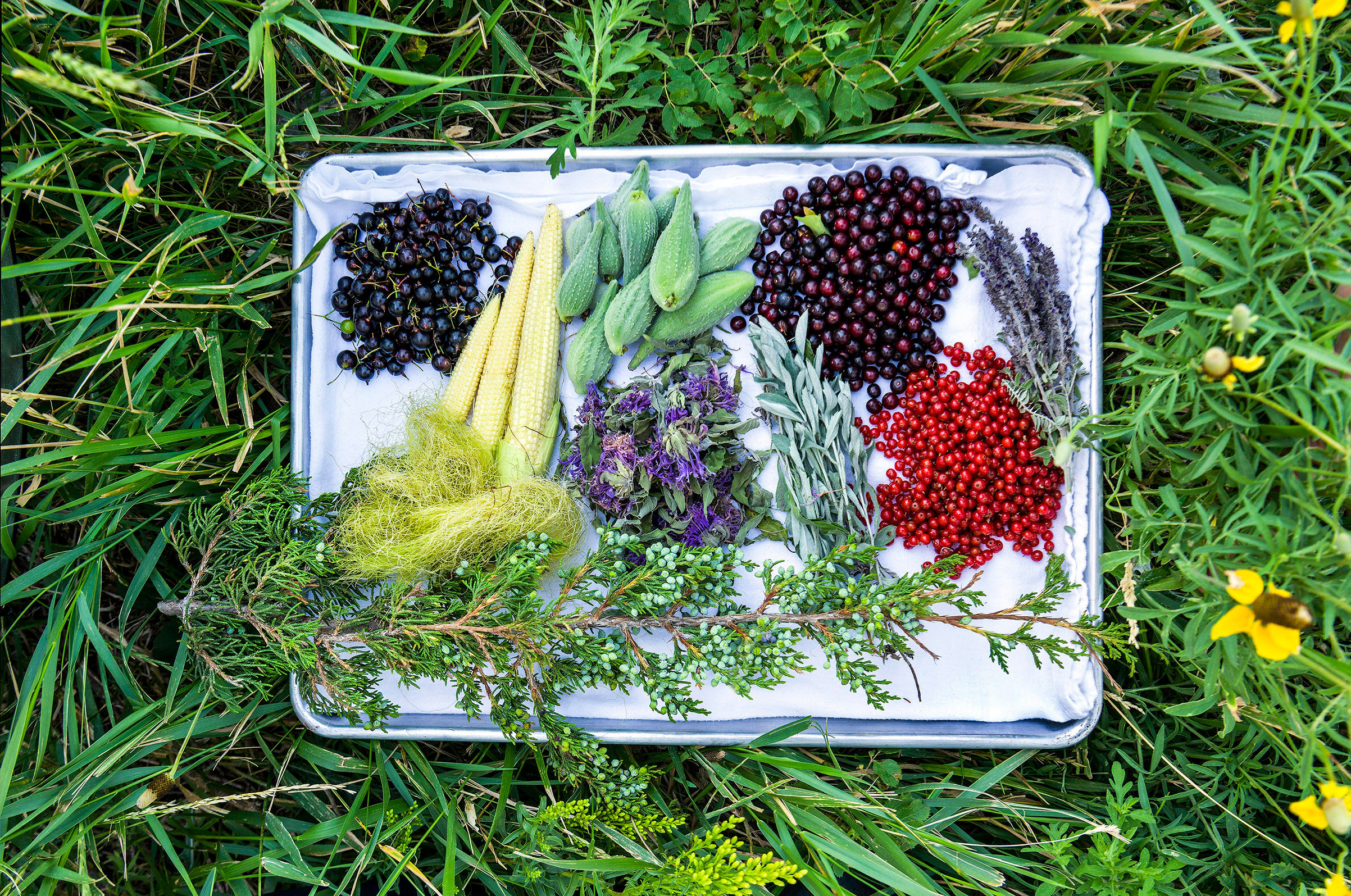 Chef Sean Sherman's work is part of a slowly gathering movement that he and other cooks are calling "new Native American cuisine," or "indigenous cuisine." Various ingredients foraged from prairie land around Coteau des Prairies Lodge near Havana, N.D., 