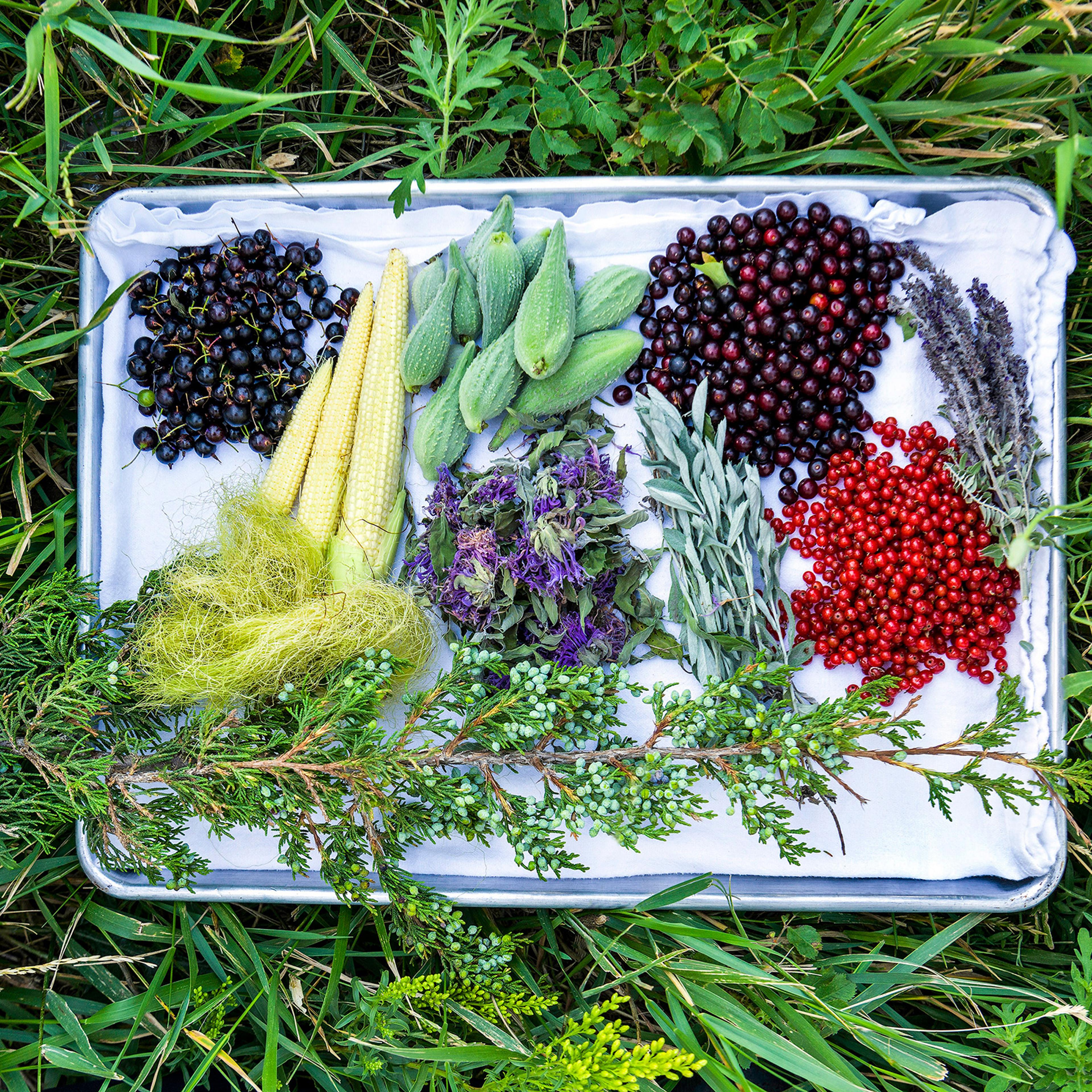 Chef Sean Sherman's work is part of a slowly gathering movement that he and other cooks are calling "new Native American cuisine," or "indigenous cuisine." Various ingredients foraged from prairie land around Coteau des Prairies Lodge near Havana, N.D.,