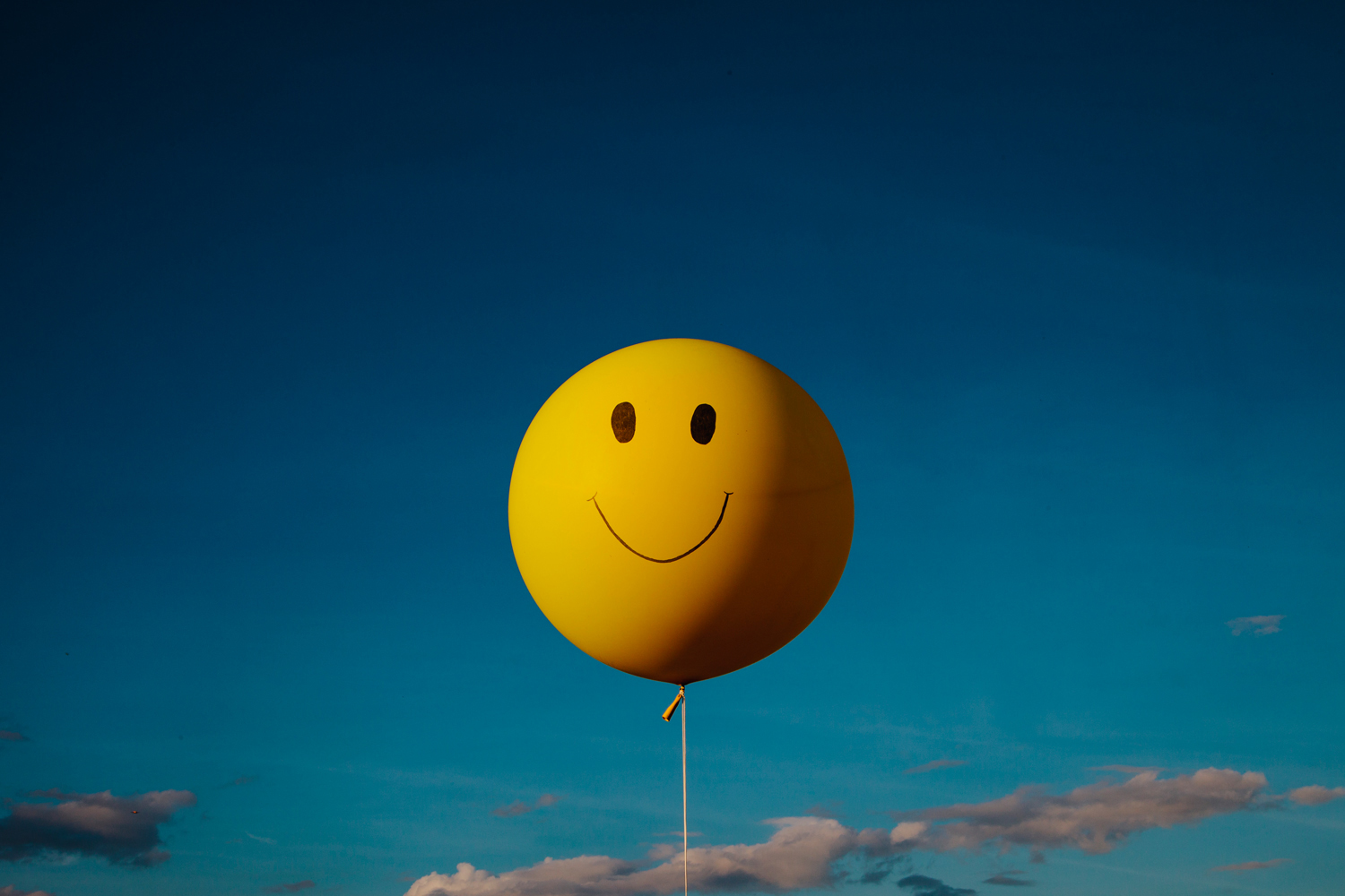 Have a Nice Day, Ocala, FL, 2012, from the project, 'Florida: Eden Isle'.