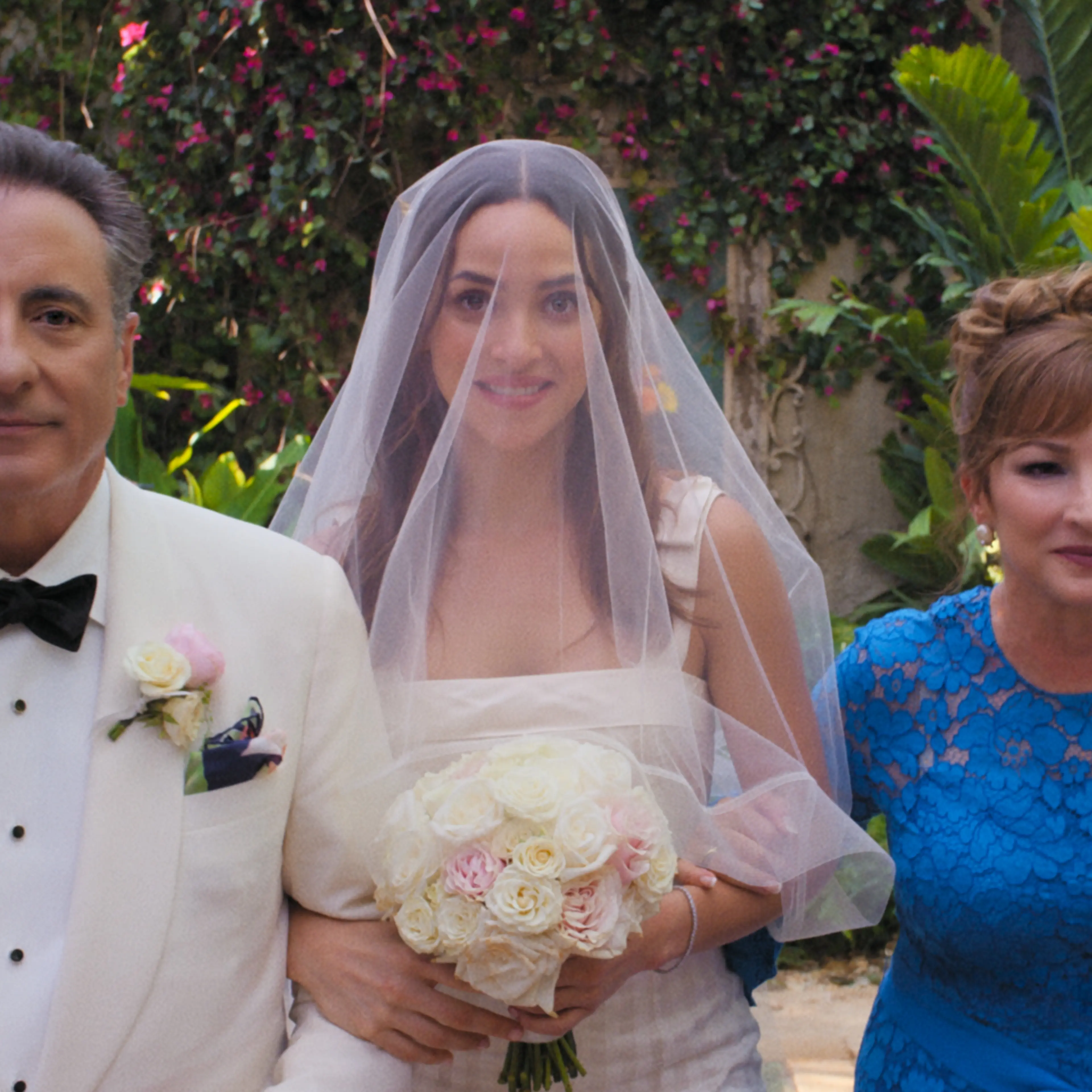 Father of the Bride reboot