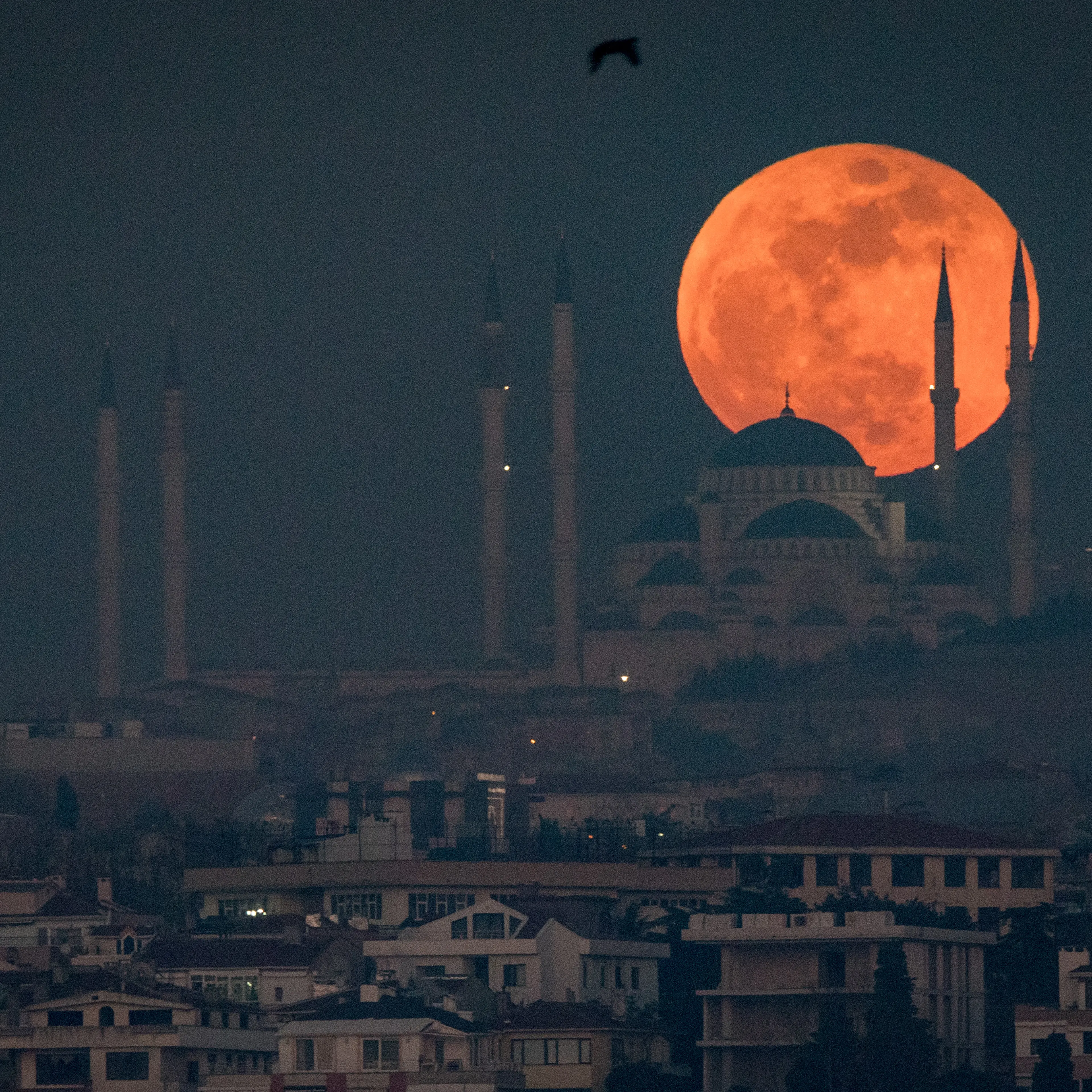 Rare Super Blood Moon Is Visible In Istanbul