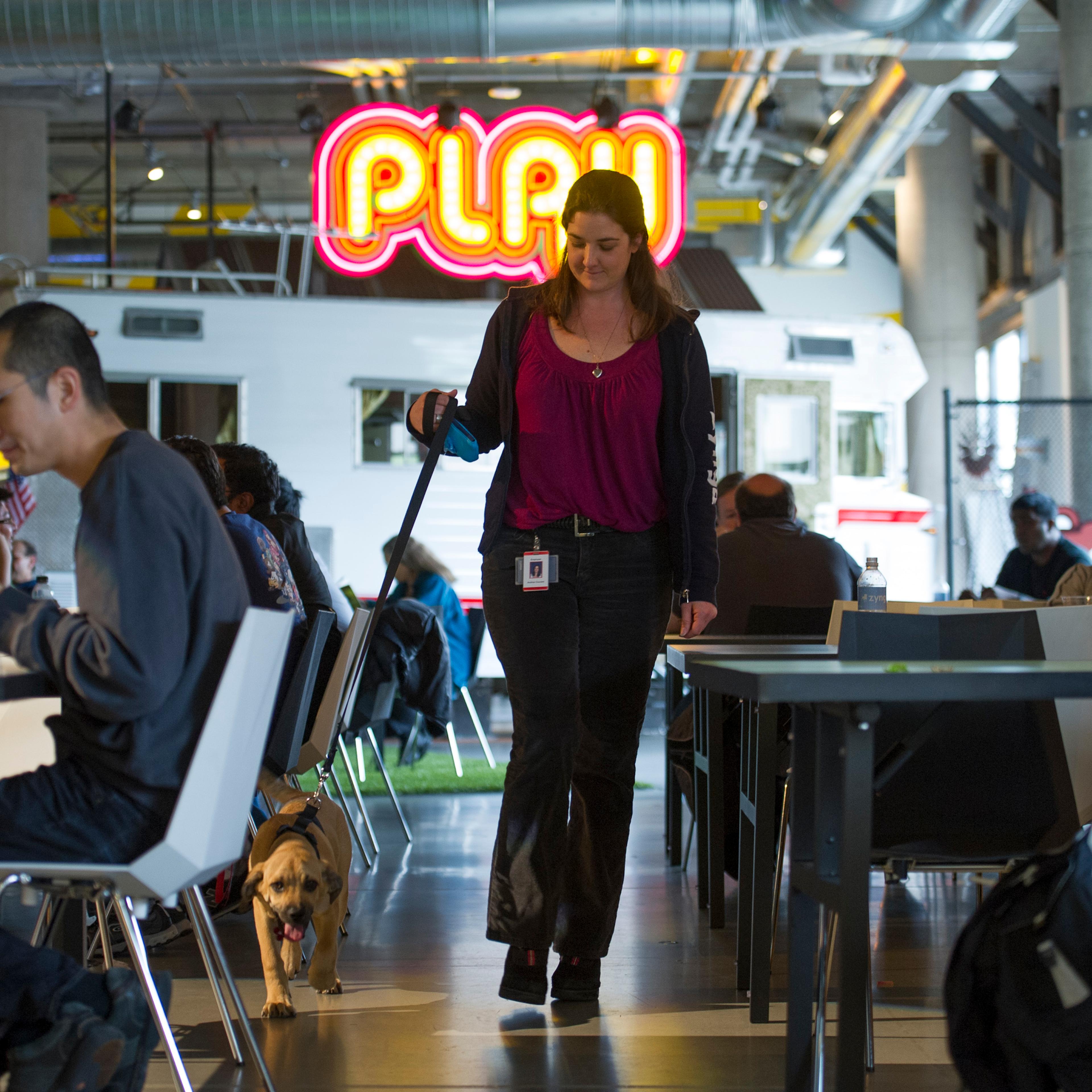 General Views Inside Zynga Inc. Headquarters