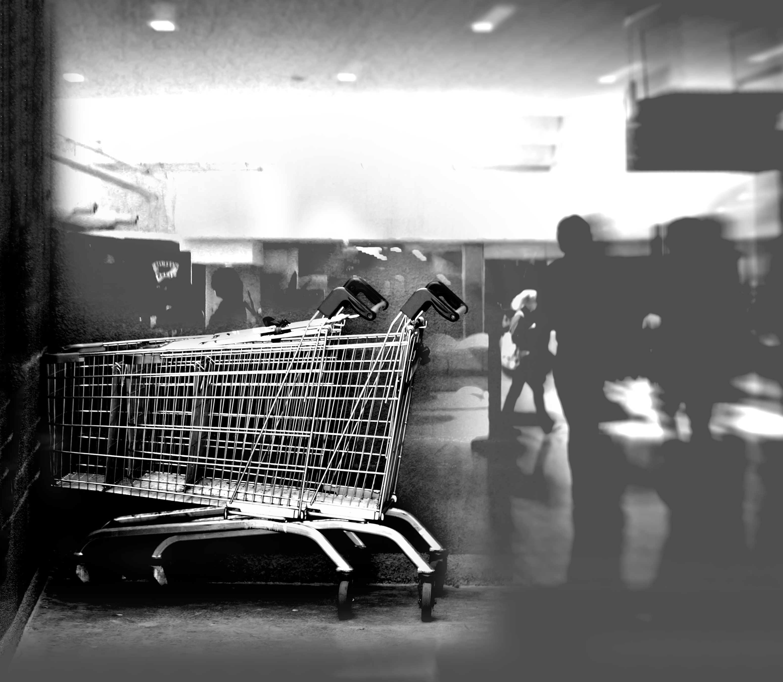 Shopping carts food stamps