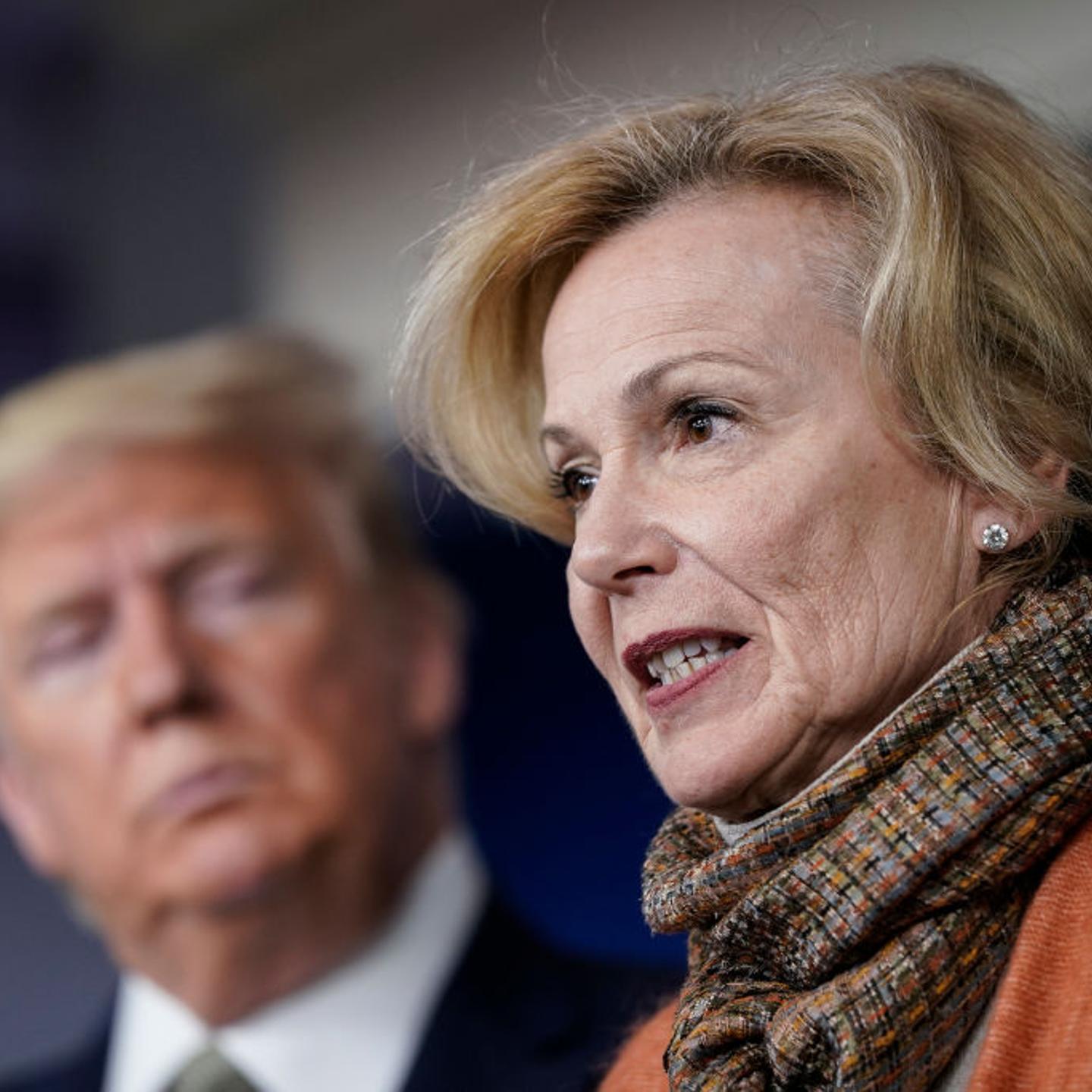 Birx Trump Sunlight Disinfectant
