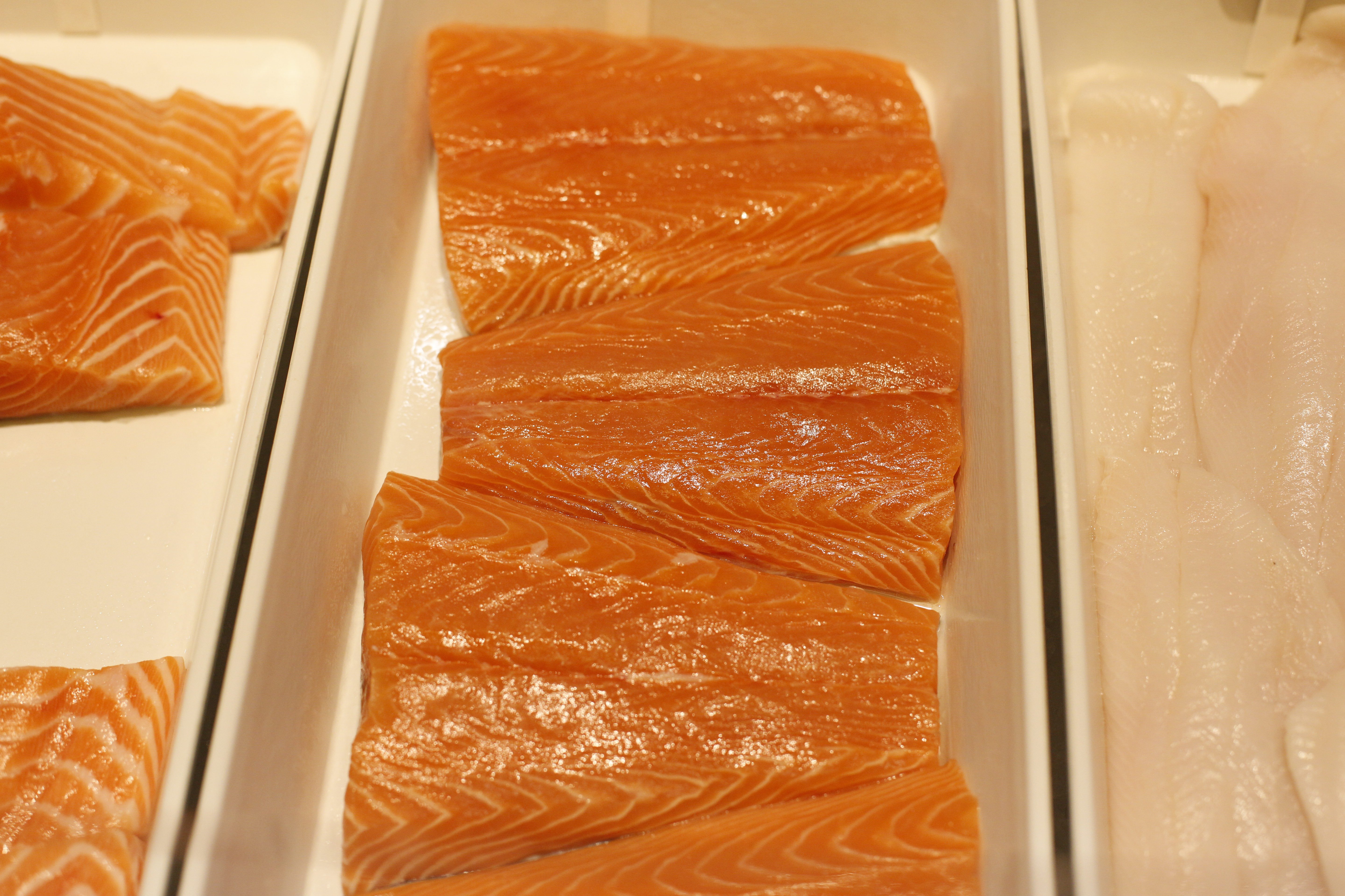 salmon prices