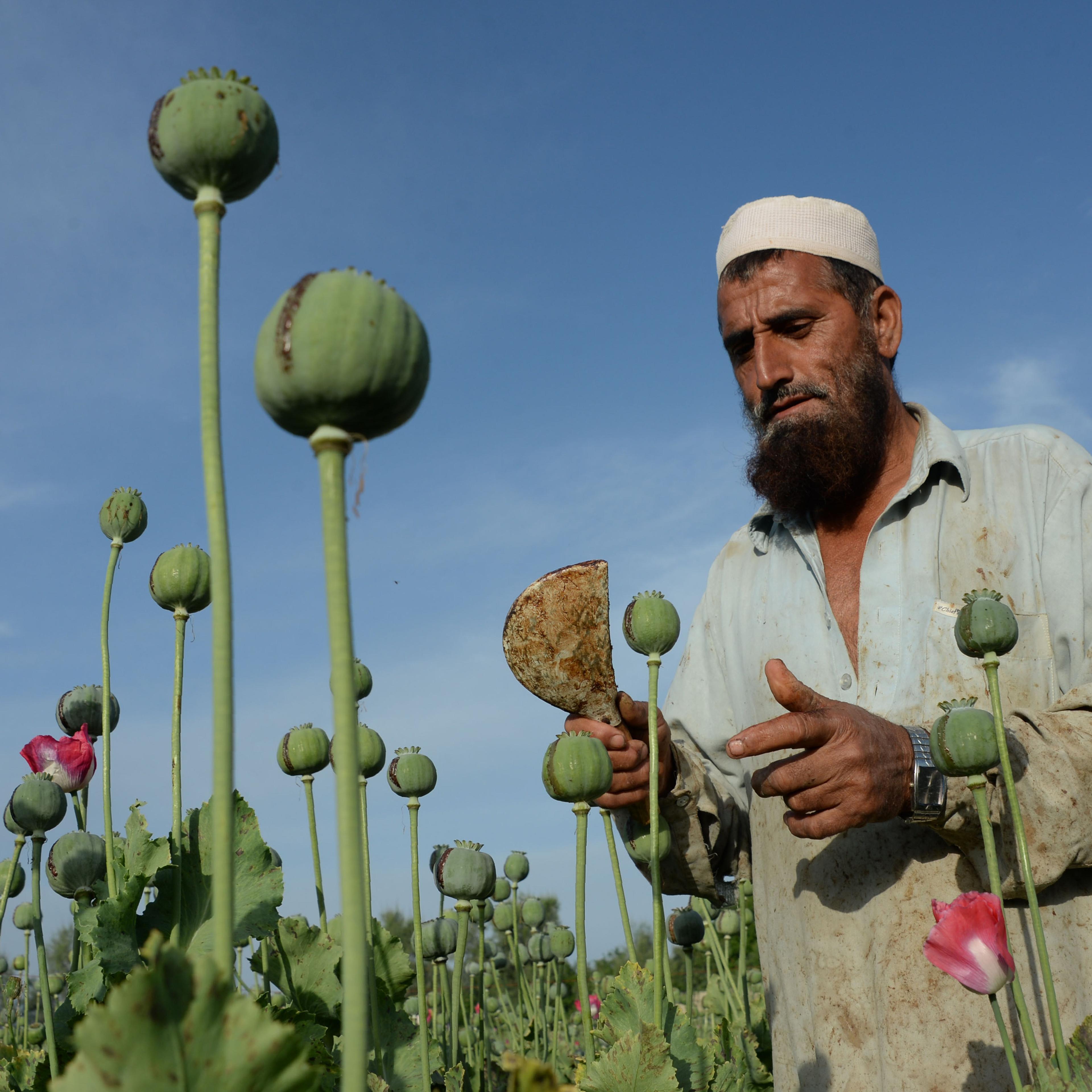 AFGHANISTAN-DRUGS-CRIME-OPIUM