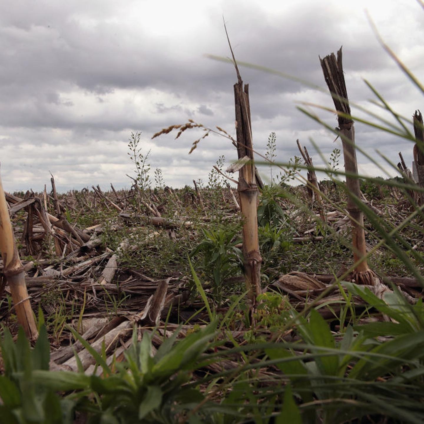 Midwest Flooding Threatens Planting Season For Many Farmers