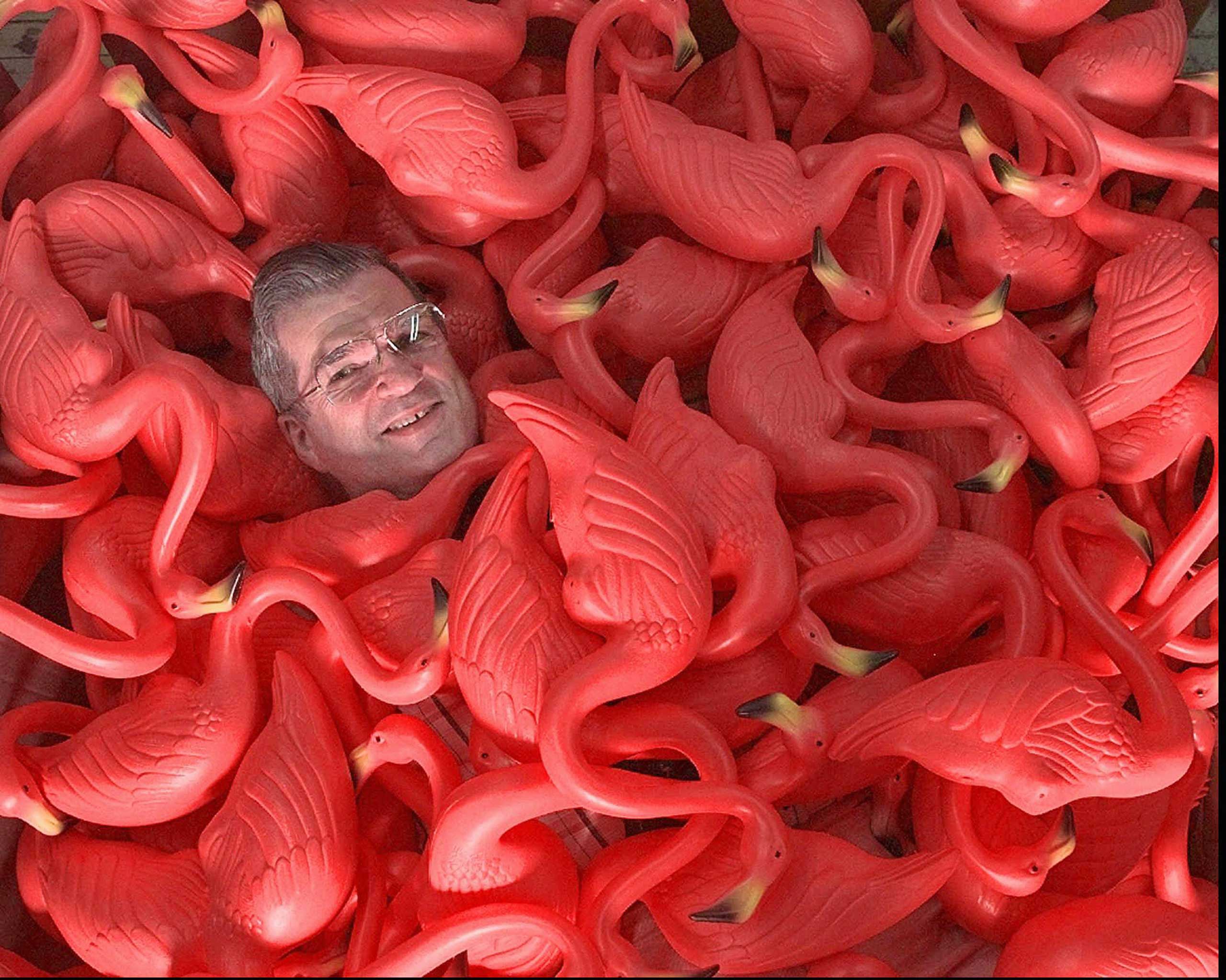Don Featherstone
