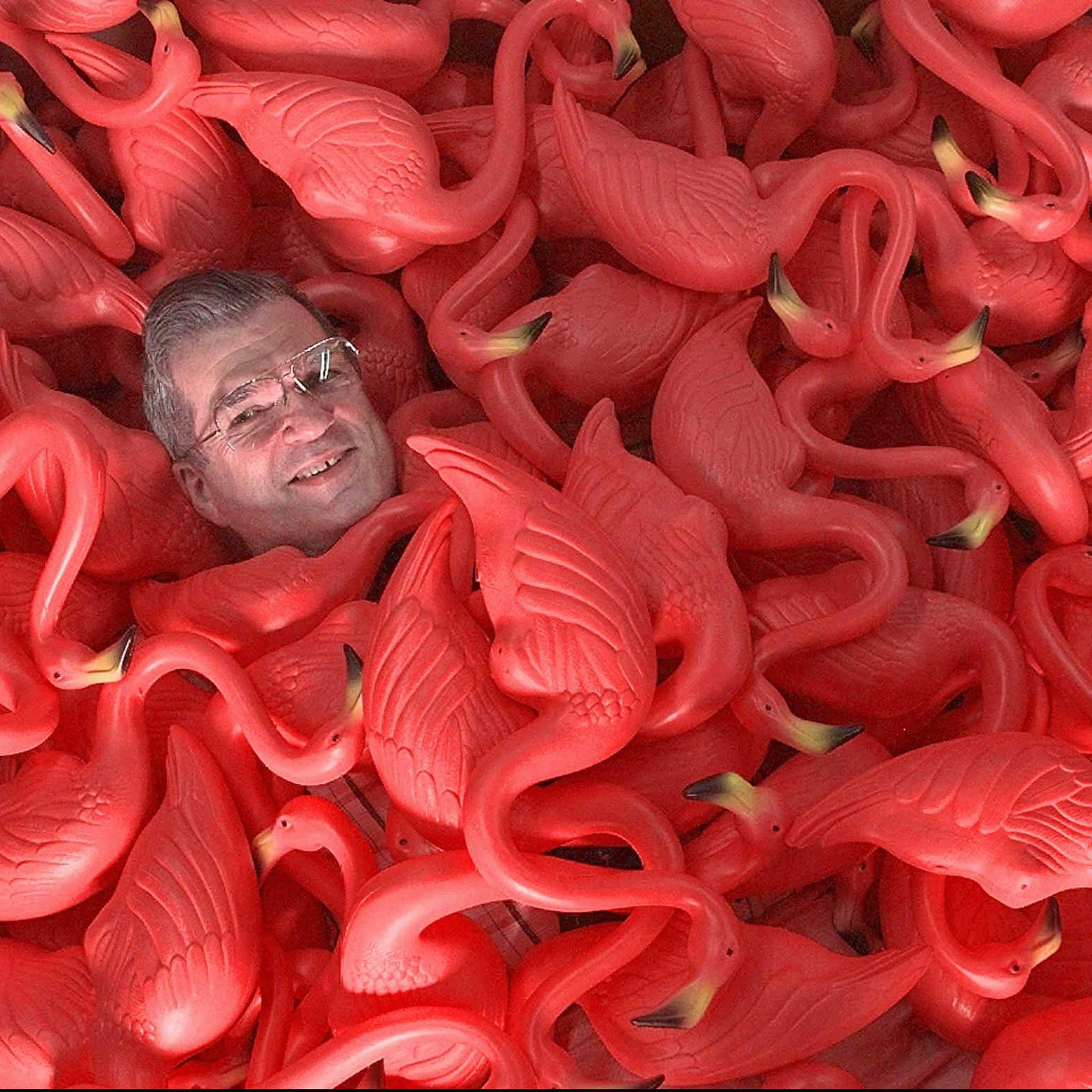 Don Featherstone
