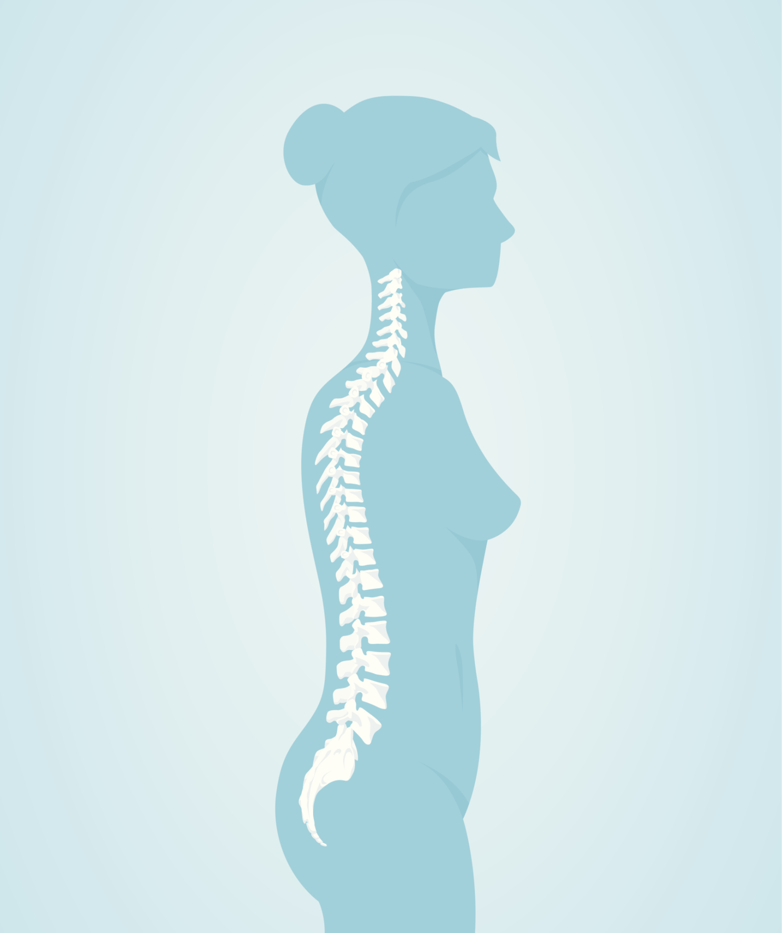 Human Spine