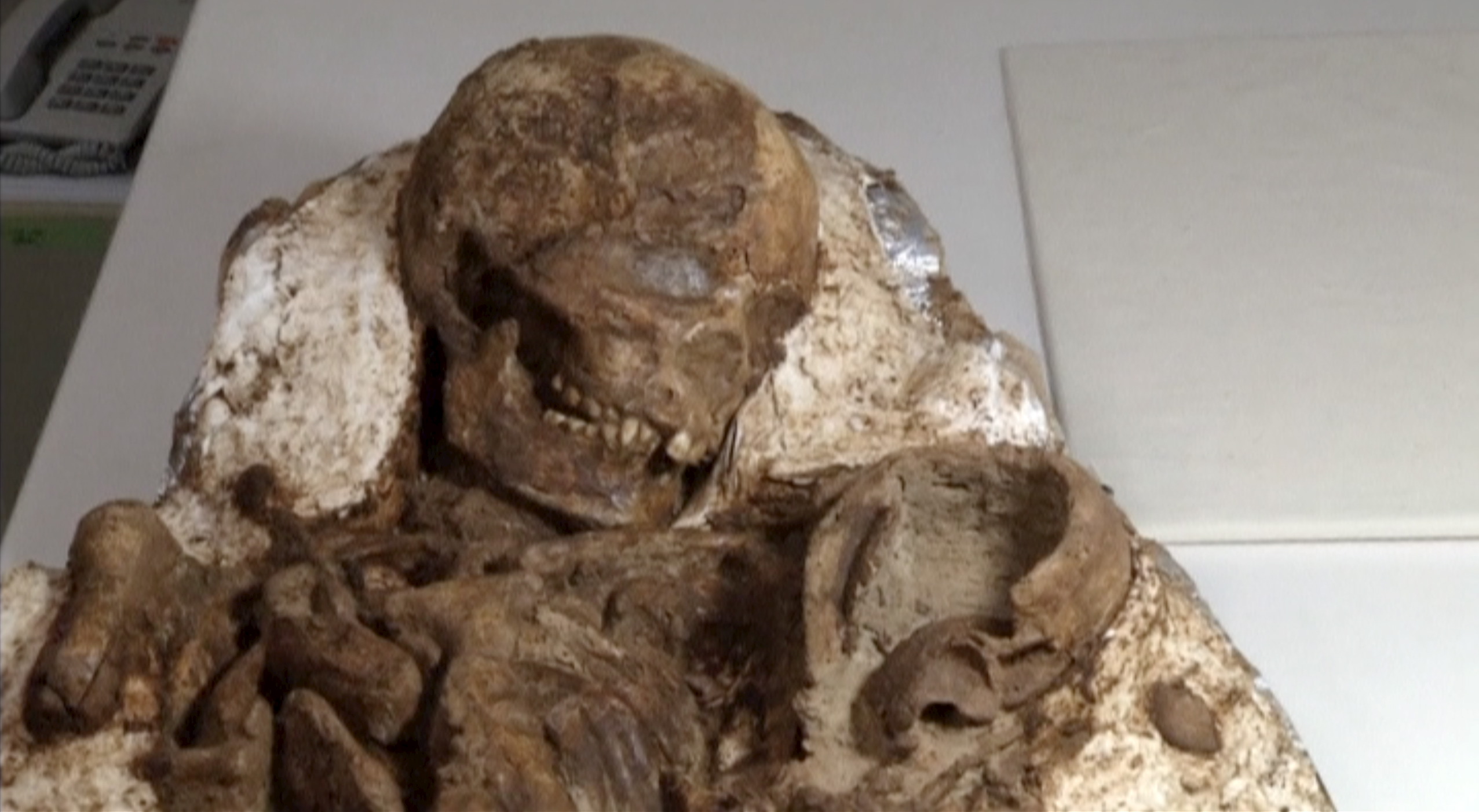 A view of a fossil of a mother and baby in Taichung City