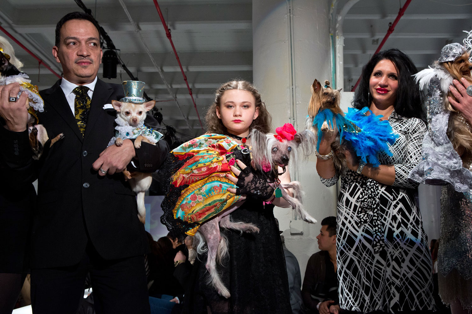 <i><B>The following photographs were taken Feb. through June 2013.</i></b><br><br>From left to right: Kimba, a Chihuahua, companion to Anthony Rubio; Nora, a Chinese Crested, companion to Robin Schwartz (shown here with Amelia Forman, Schwartz's daughter); and Rosie, a Yorkie, companion to Grace Forster (shown here with Ashley Speranza) backstage after showing Bandit Rubio designs at the first ever pet fashion show at Brooklyn Fashion Week.