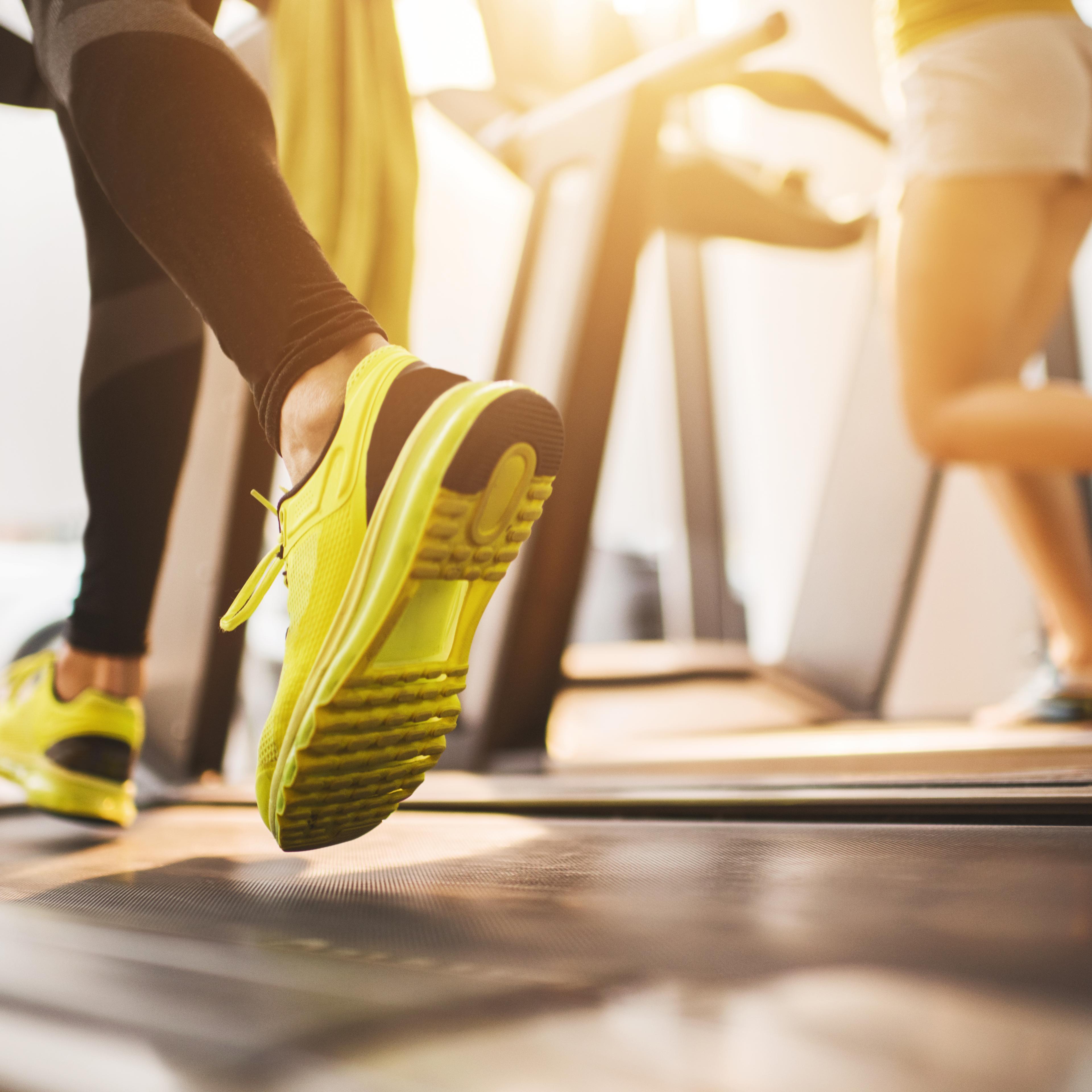 Unrecognizable people running on treadmills in a gym.